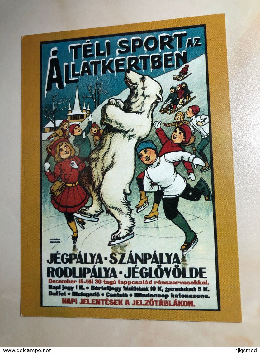 Winter Sport In Budapest Zoo Hungary Graphic Art Polar Bear Ice Skating Skate Reproduction M00001 Post Card POSTCARD - Pubblicitari