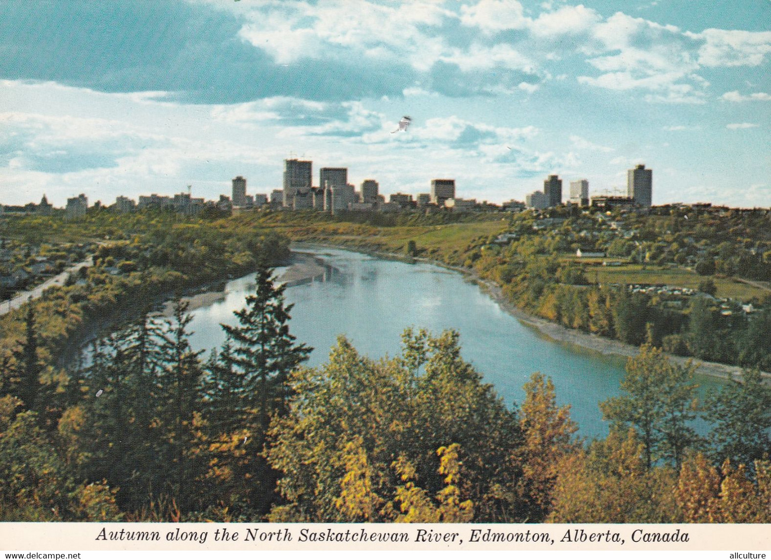A5809- Autumn, The North Saskatchewan River, Edmonton Alberta Canada Postcard - Edmonton