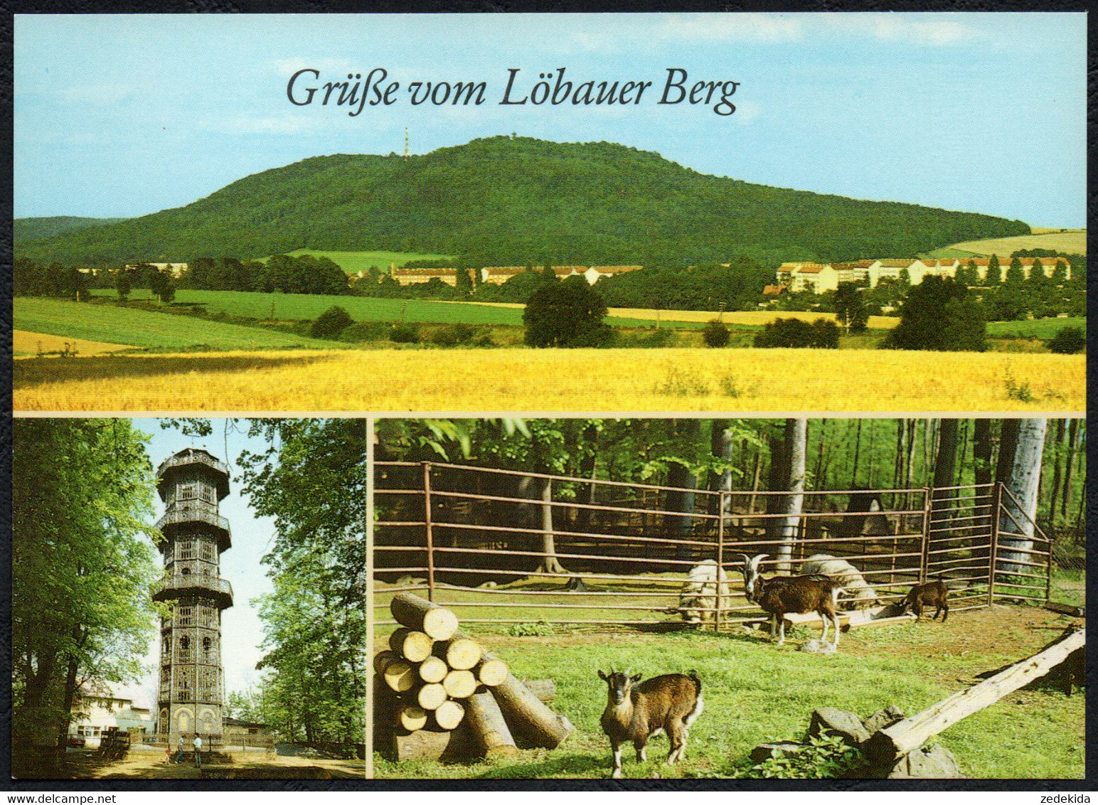F1977 - TOP Löbau Löbauer Berg Aussichtsturm - Bild Und Heimat Reichenbach - Loebau