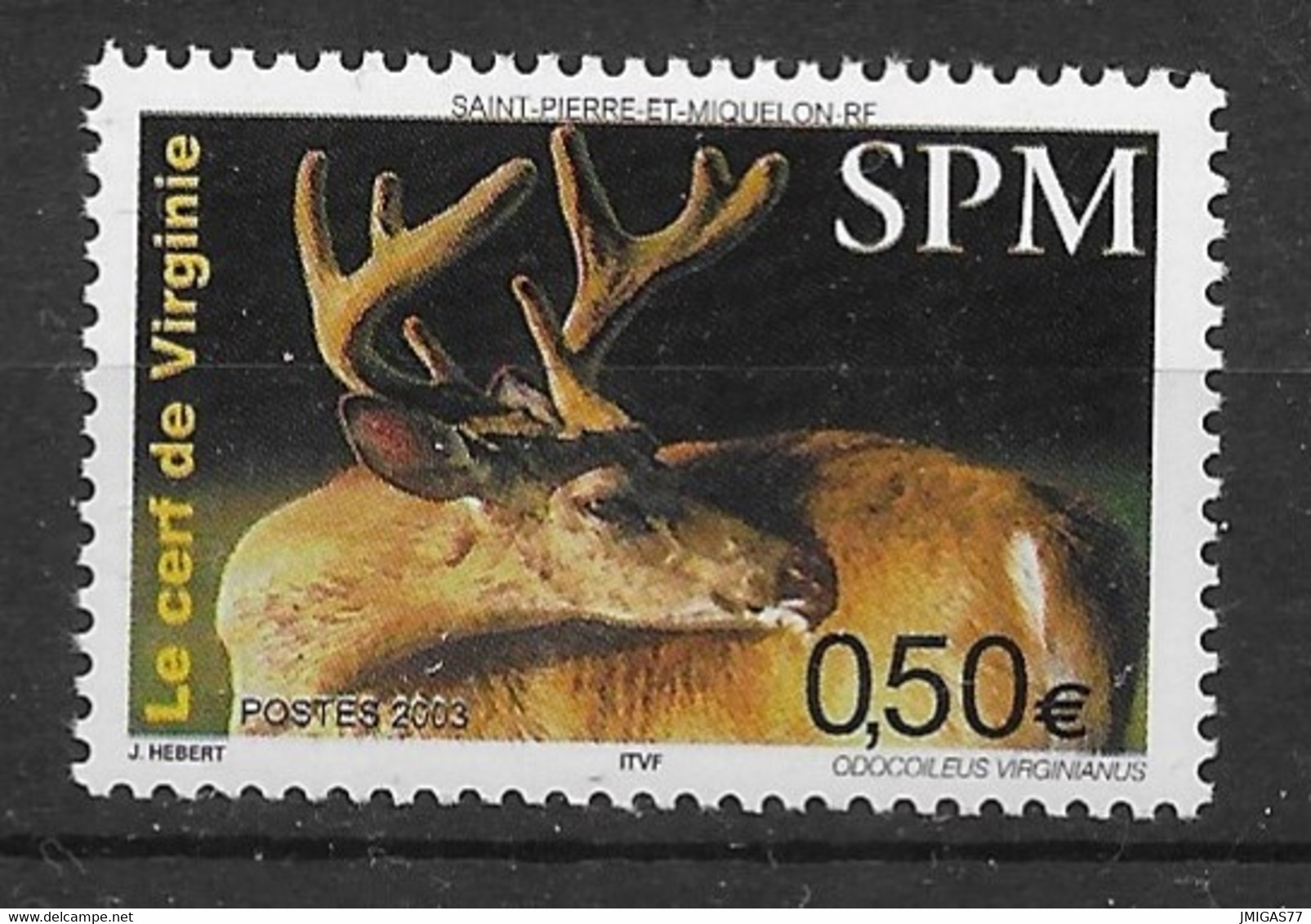 St Pierre Et Miquelon N° 799 - Unused Stamps
