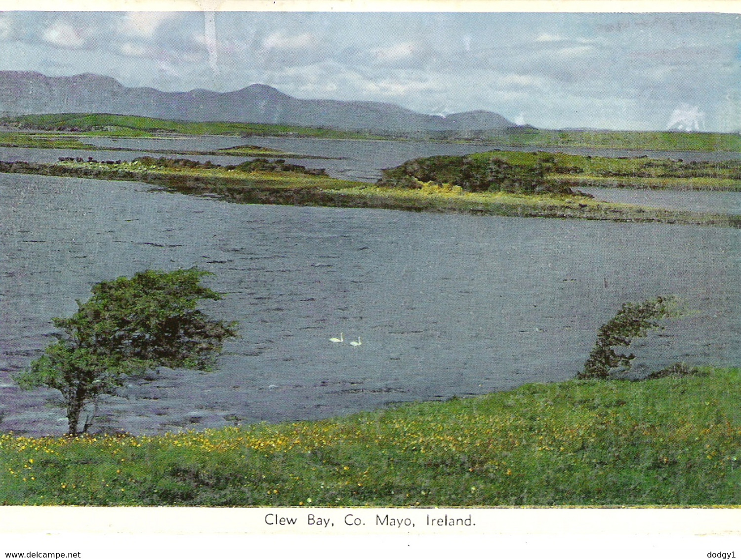 CLEW BAY, CO. MAYO, IRELAND. UNUSED POSTCARD R7 - Mayo