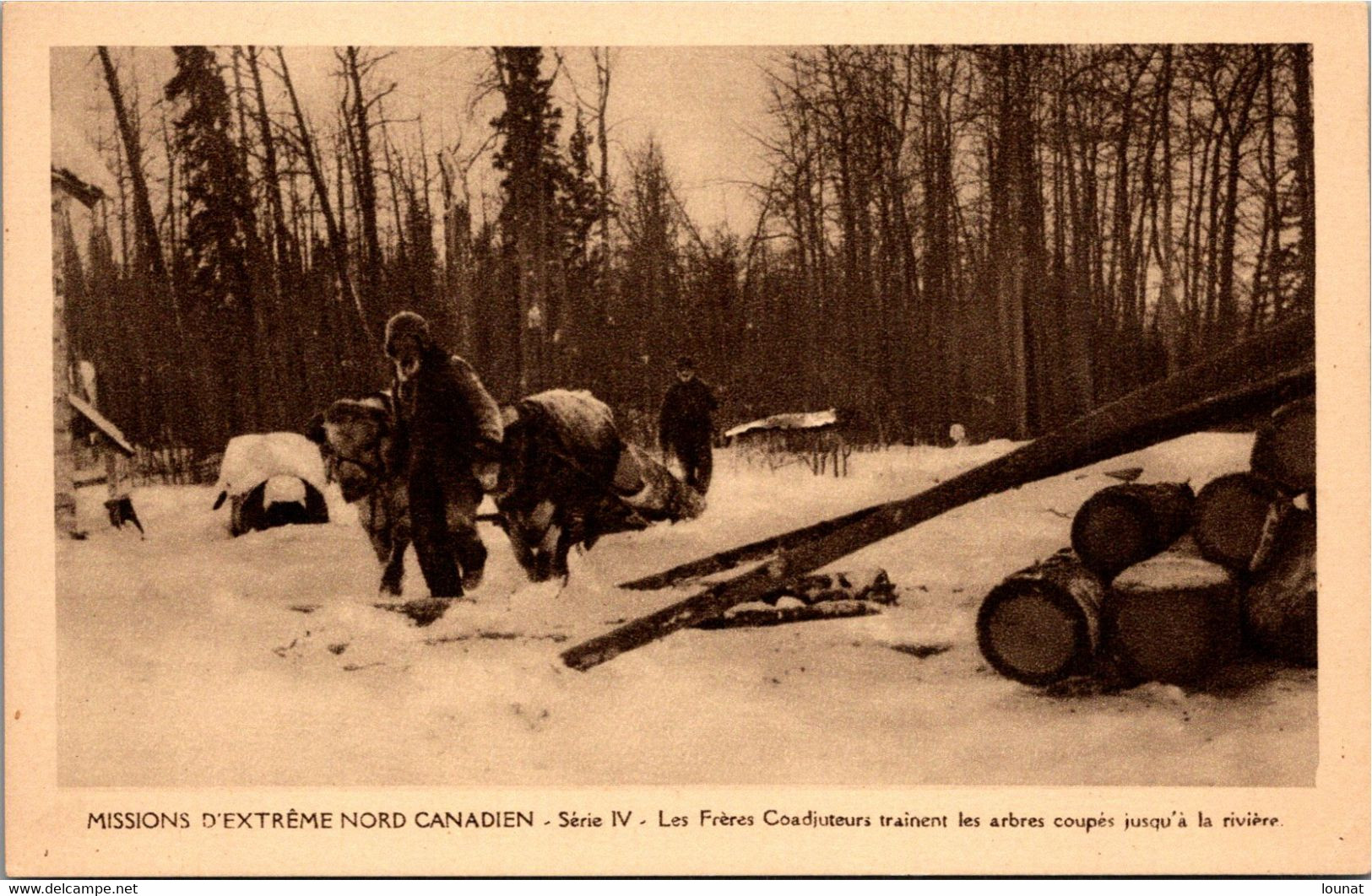 Missions  - Missions D'Extrême Nord Canadien - Série IV - Les Frères Coadjuteurs Trainent Les Arbres Coupés Jusqu à La - Missions