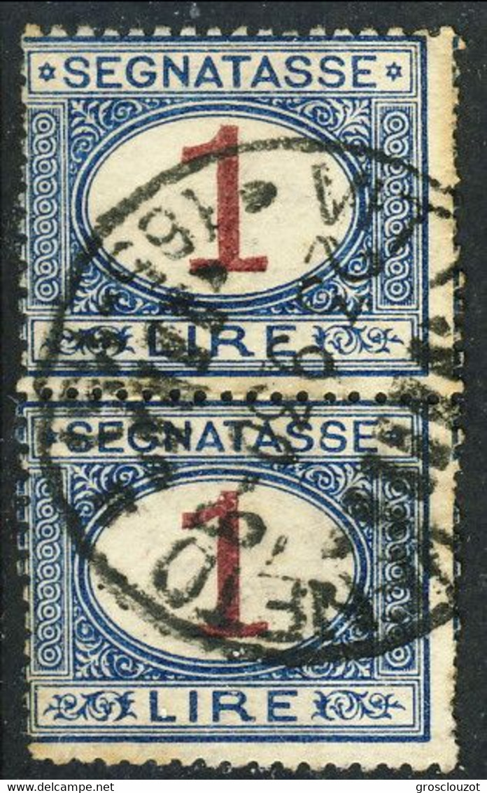 Regno Tasse 1874 Sass. N. 11 Lire 1 Azzurro Chiaro E Bruno, Coppia Verticale Usata Cat. € 50 - Segnatasse