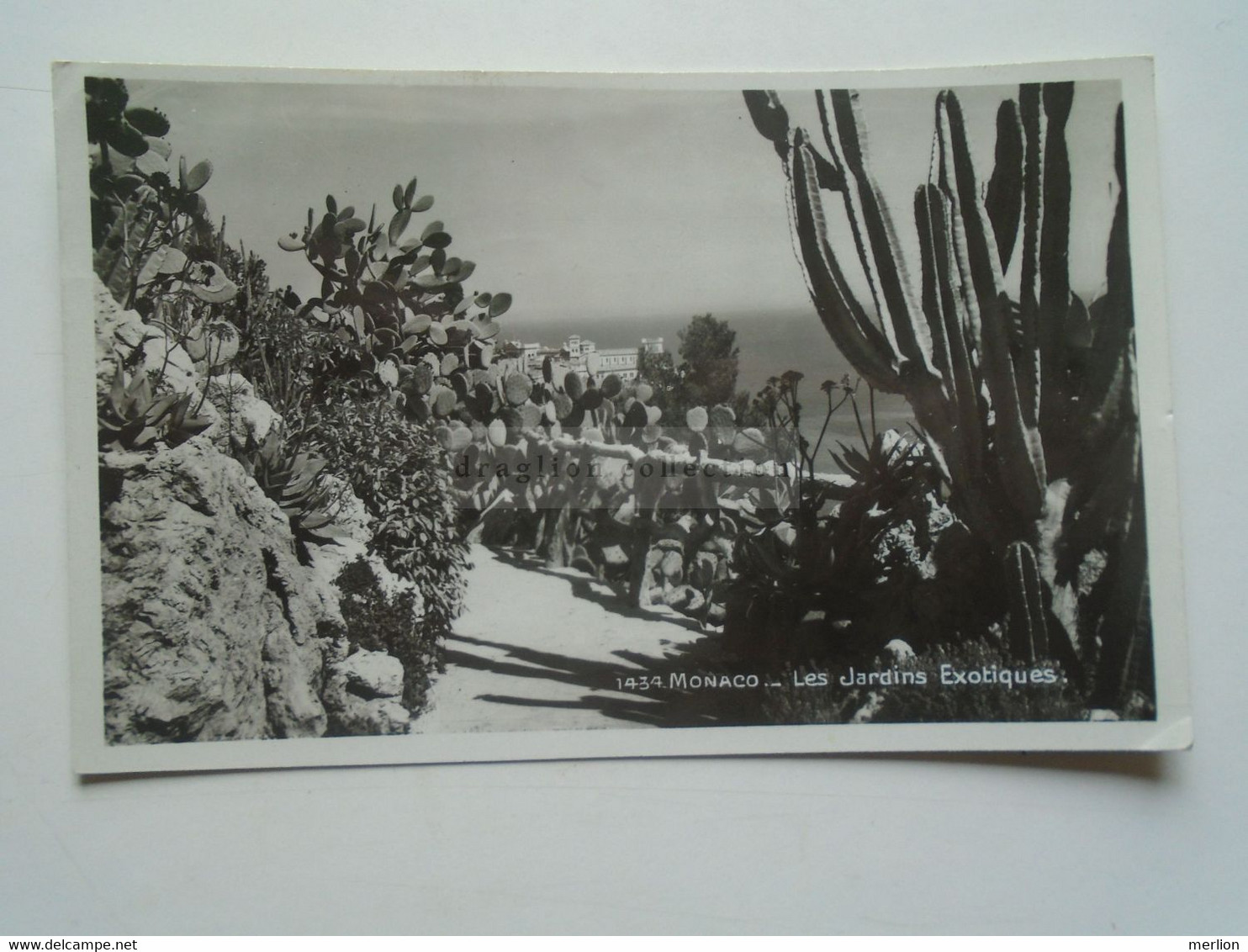 D179553   MONACO Monte Carlo  - 1942  Postcard Les Jardins Exotiques - Andere & Zonder Classificatie