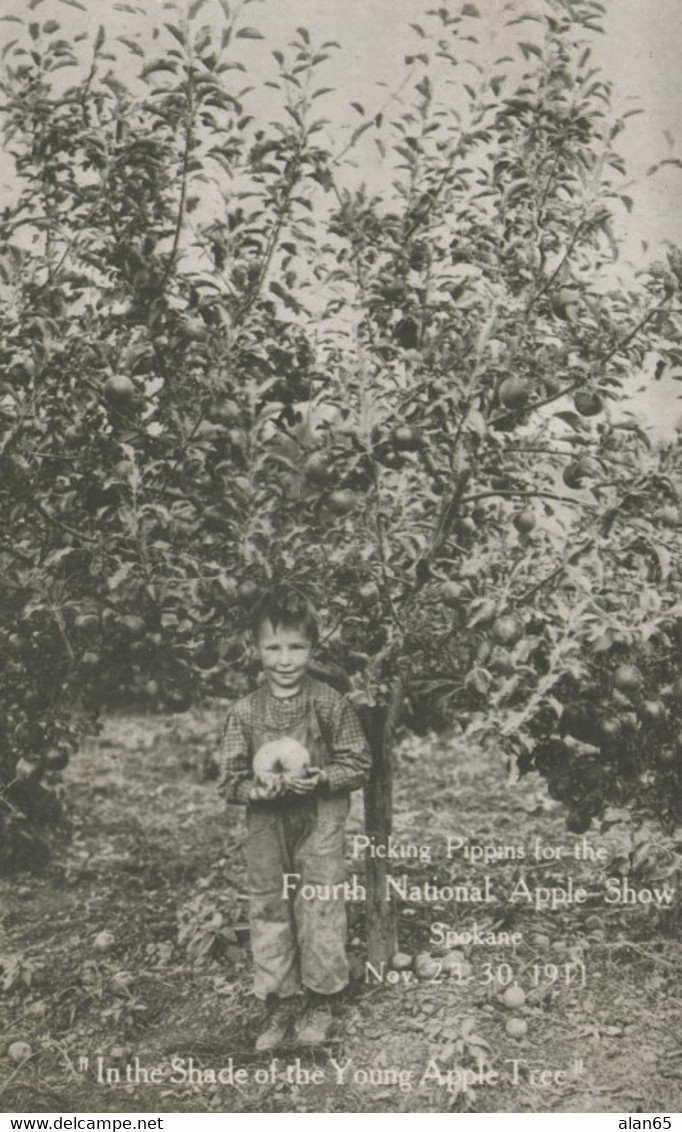 Spokane Washington, Fourth National Apple Show, Boy With Apple And Trees, C1910s Postcard - Spokane