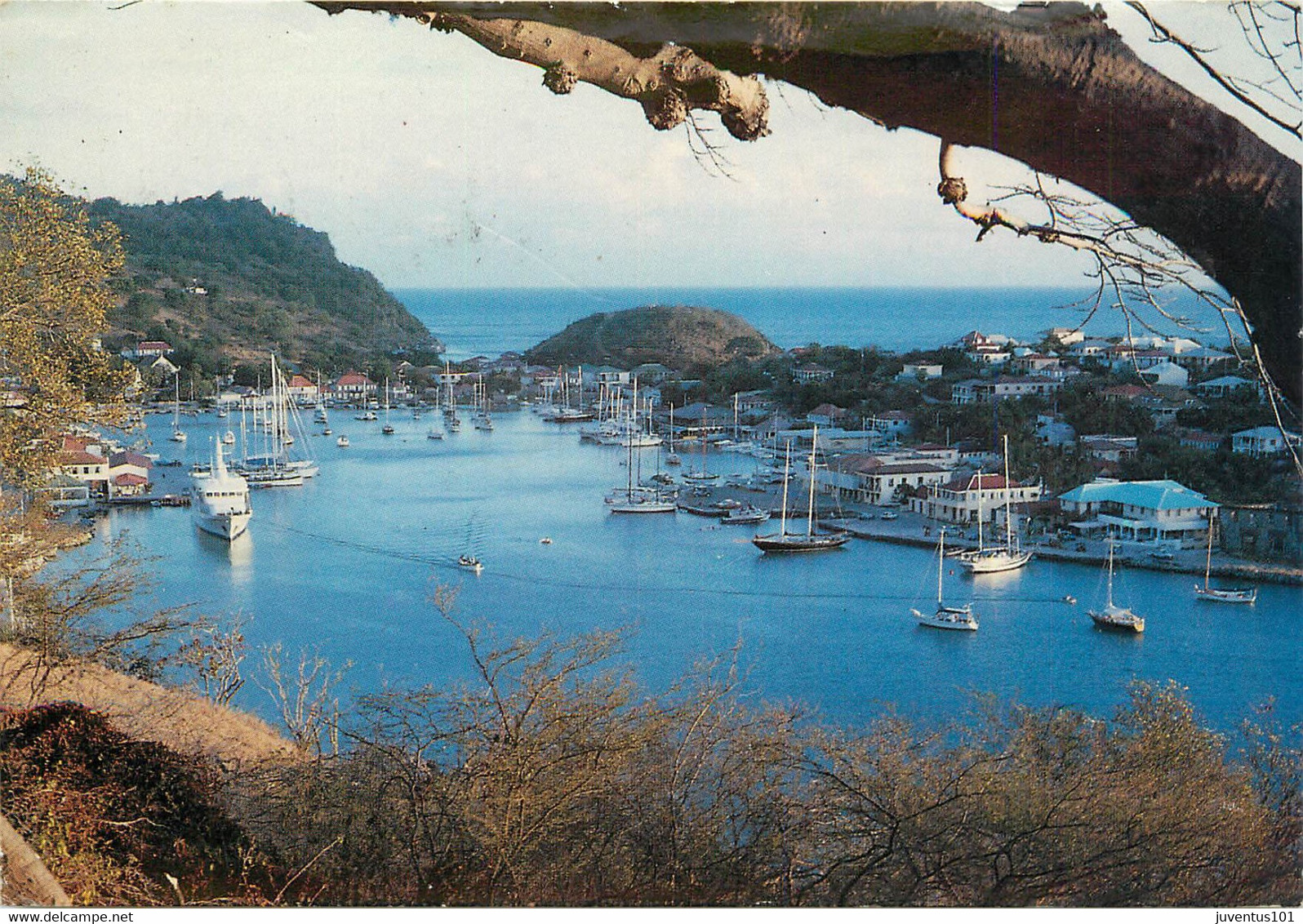 CPSM Ile De Saint Barthélémy-Le Port De Gustavia-Beau Timbre    L616 - Saint Kitts En Nevis