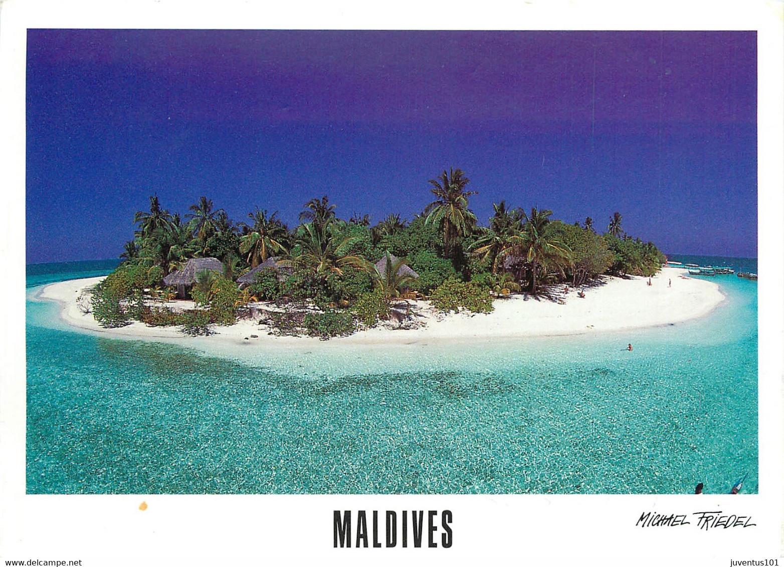 CPSM Maldives-Ellaidhoo-Beau Timbre    L616 - Maldives