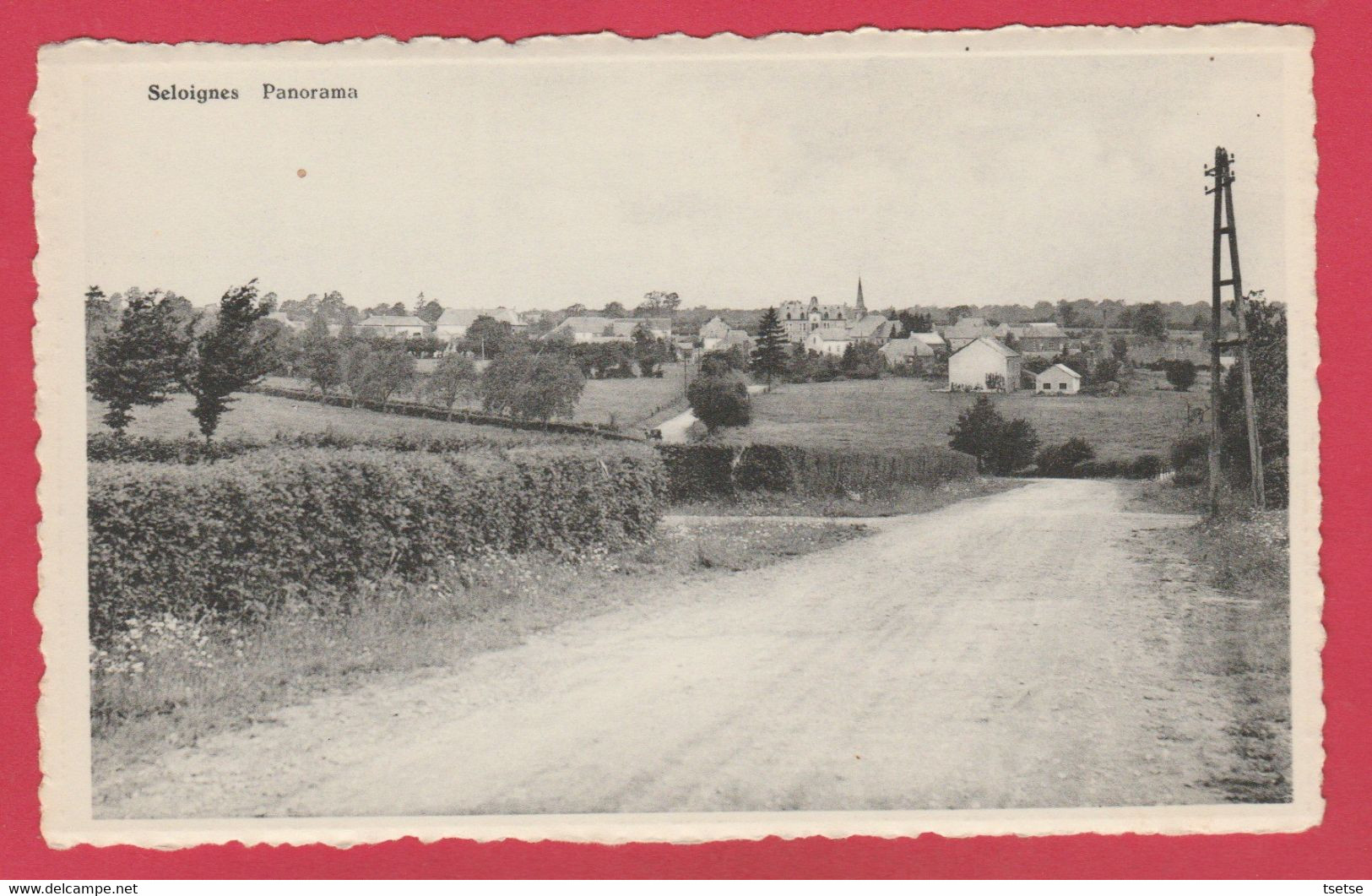 Seloignes - Panorama ... Du Village ( Voir Verso ) - Momignies