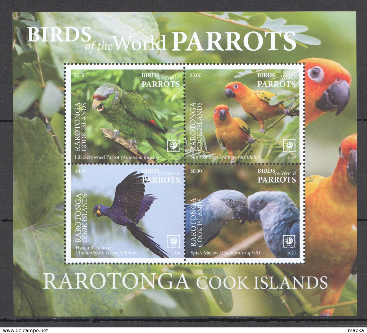 NW0514 2020 RAROTONGA PARROTS BIRDS OF THE WORLD FAUNA BL MNH - Parrots