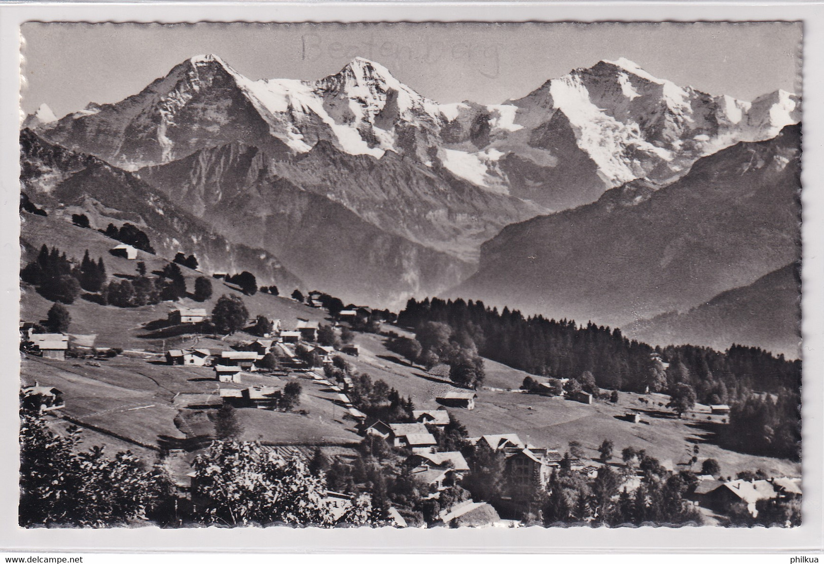 Beatenberg Waldegg (Bern) - Wald