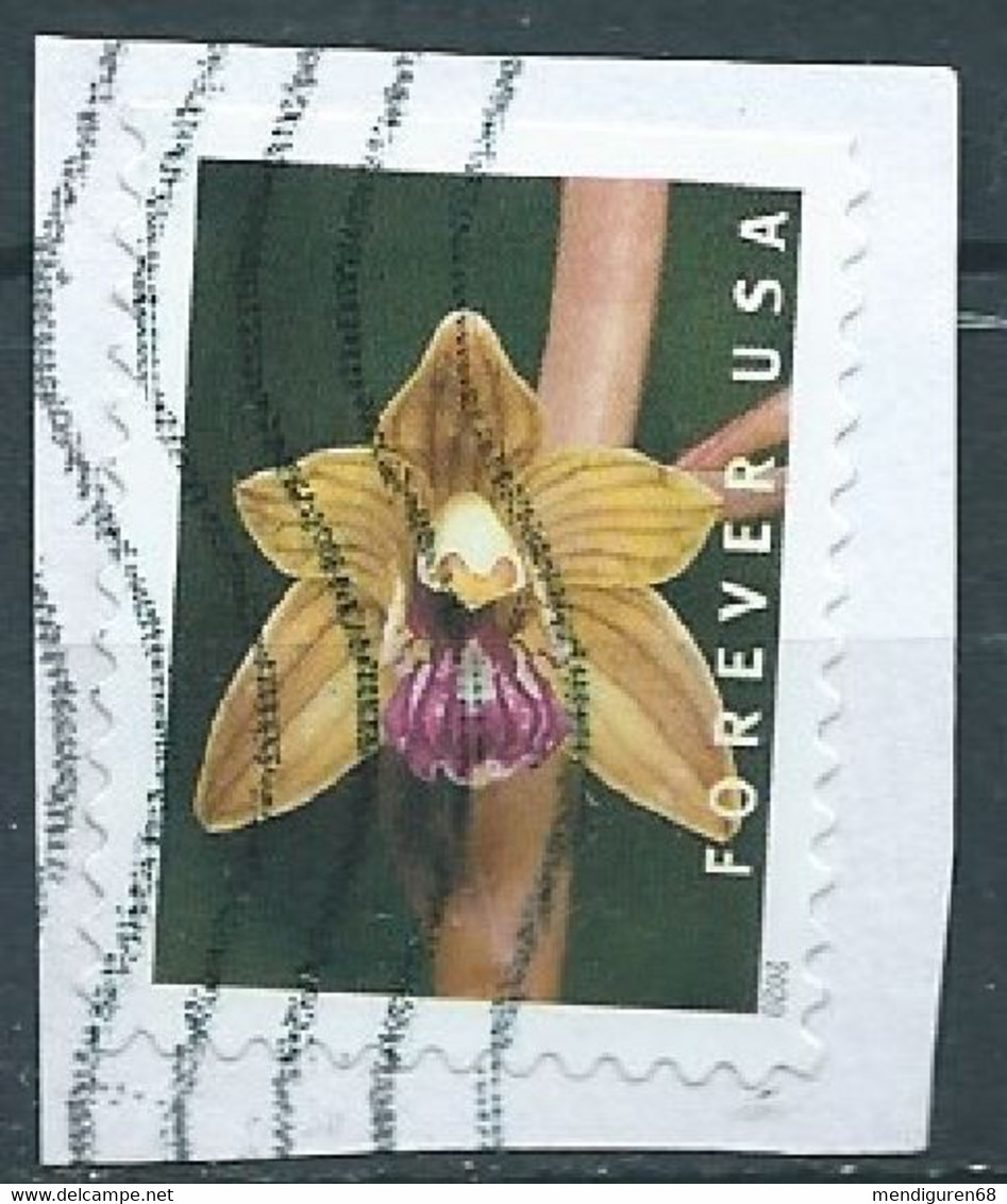 VEREINIGTE STAATEN ETATS UNIS USA 2020 WILD ORCHIDS: CRESTED CORAL ROOT F USED ON PAPER SC 5447 MI 5675 YT 5294 - Usados