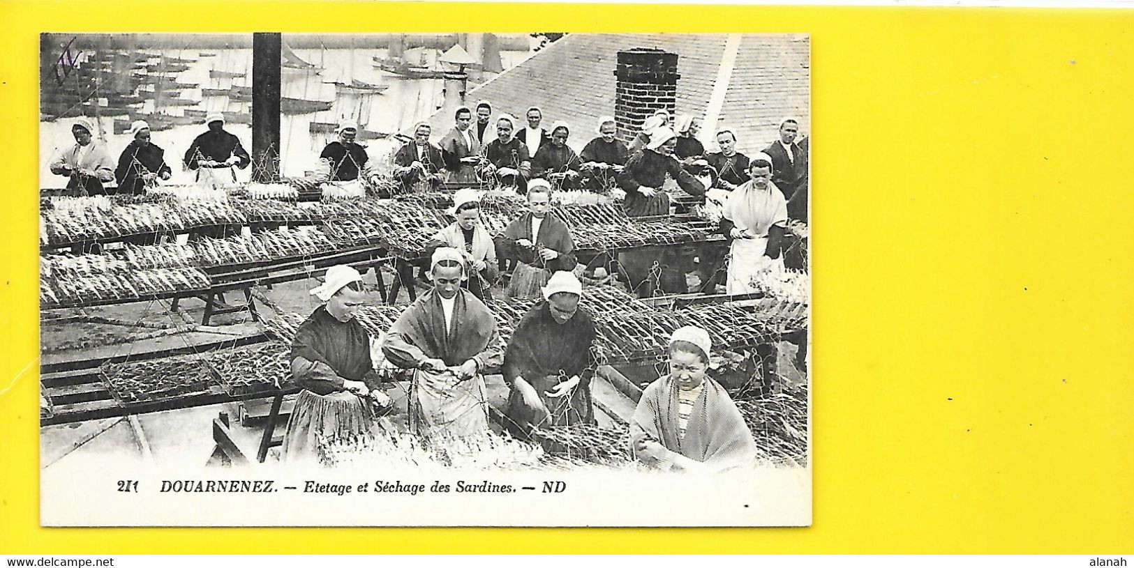 DOUARNENEZ Etetage Et Séchage Des Sardines (ND) Finistère (29) - Douarnenez