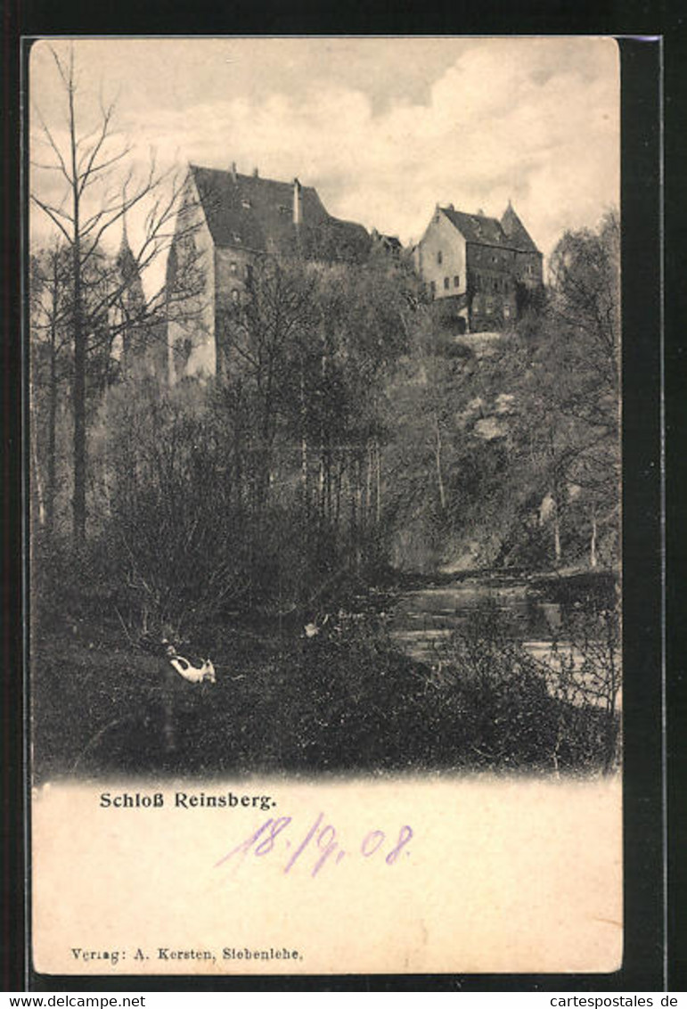 AK Reinsberg, Blick Zum Schloss, Im Vordergrund Mann Mit Hund - Reinsberg (Sachsen)