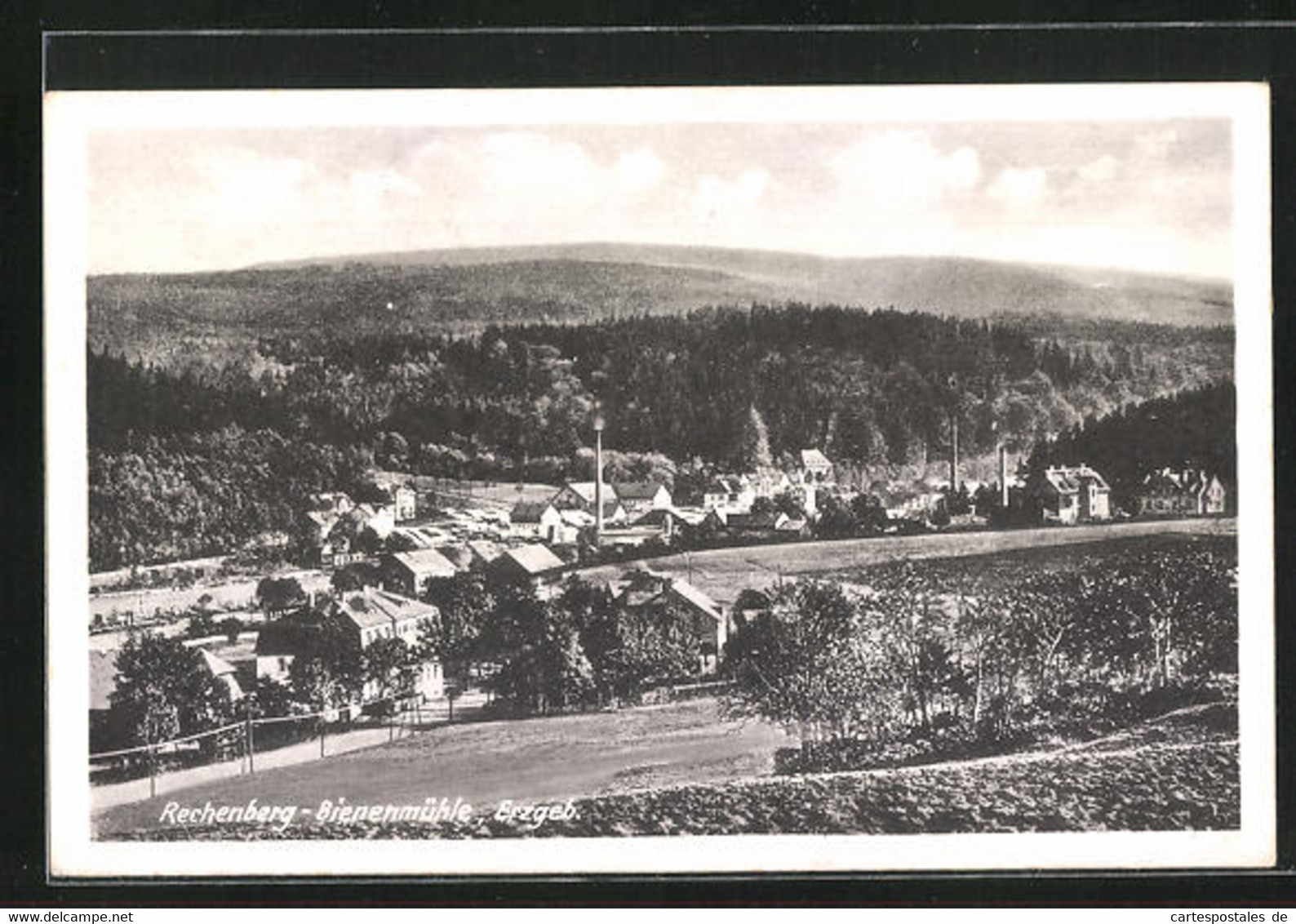 AK Rechenberg-Bienenmühle, Ortsansicht Im Sonnenschein - Rechenberg-Bienenmühle