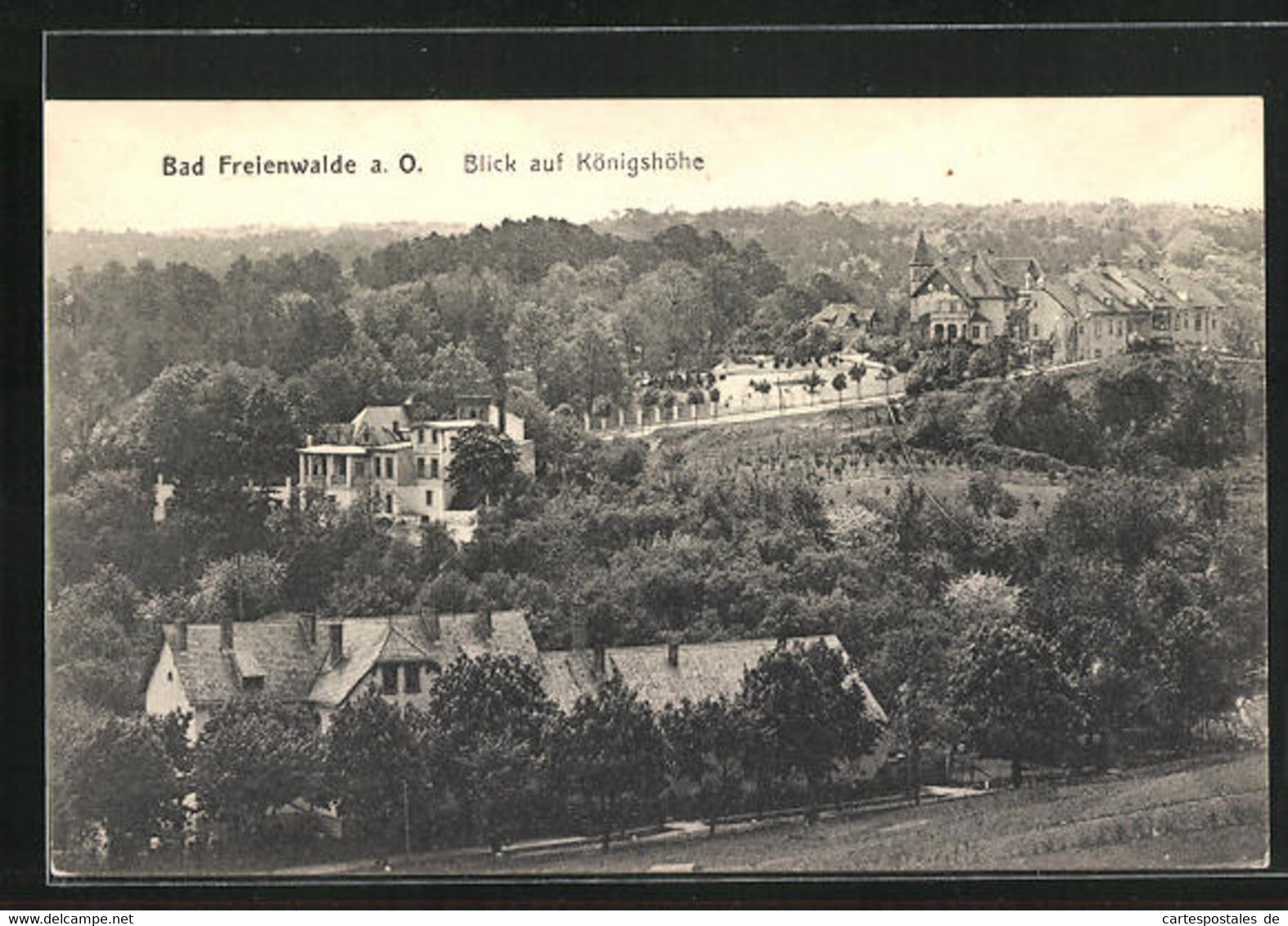 AK Bad Freienwalde A.O., Blick Auf Königshöhe - Bad Freienwalde