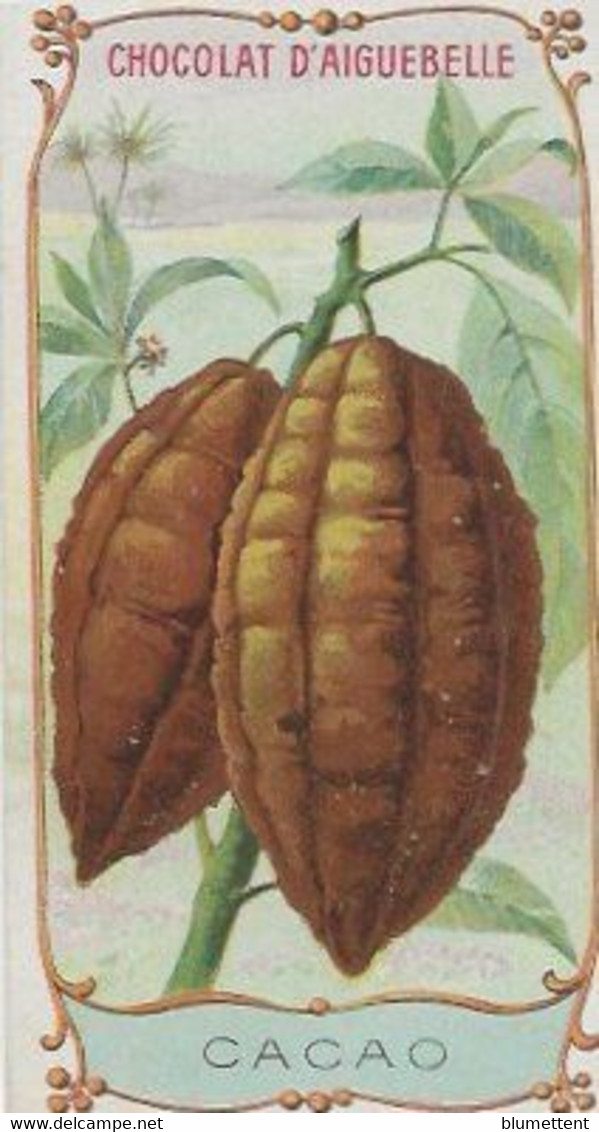 Chromo Aiguebelle Les Fruits 10,5 X 5.5 - Cacao - Aiguebelle
