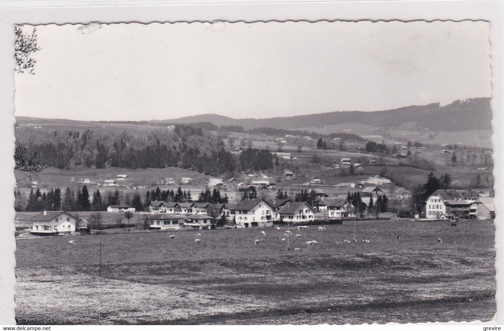 Riaz, Vue En Direction Des Monts - Riaz