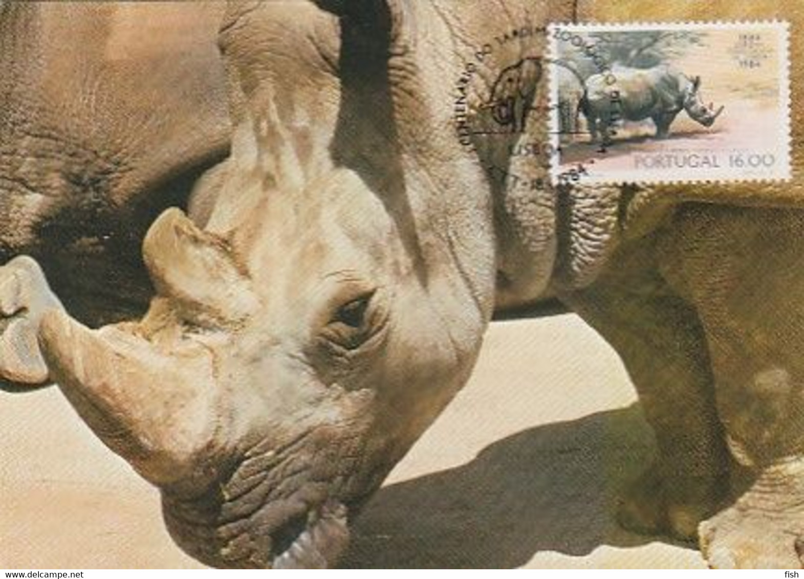 Portugal & Maximum Card, 100 Years Of The Lisbon Zoological Garden, White Rhinoceros, Ceratotherium, Lisbon 1984 (48) - Rhinoceros