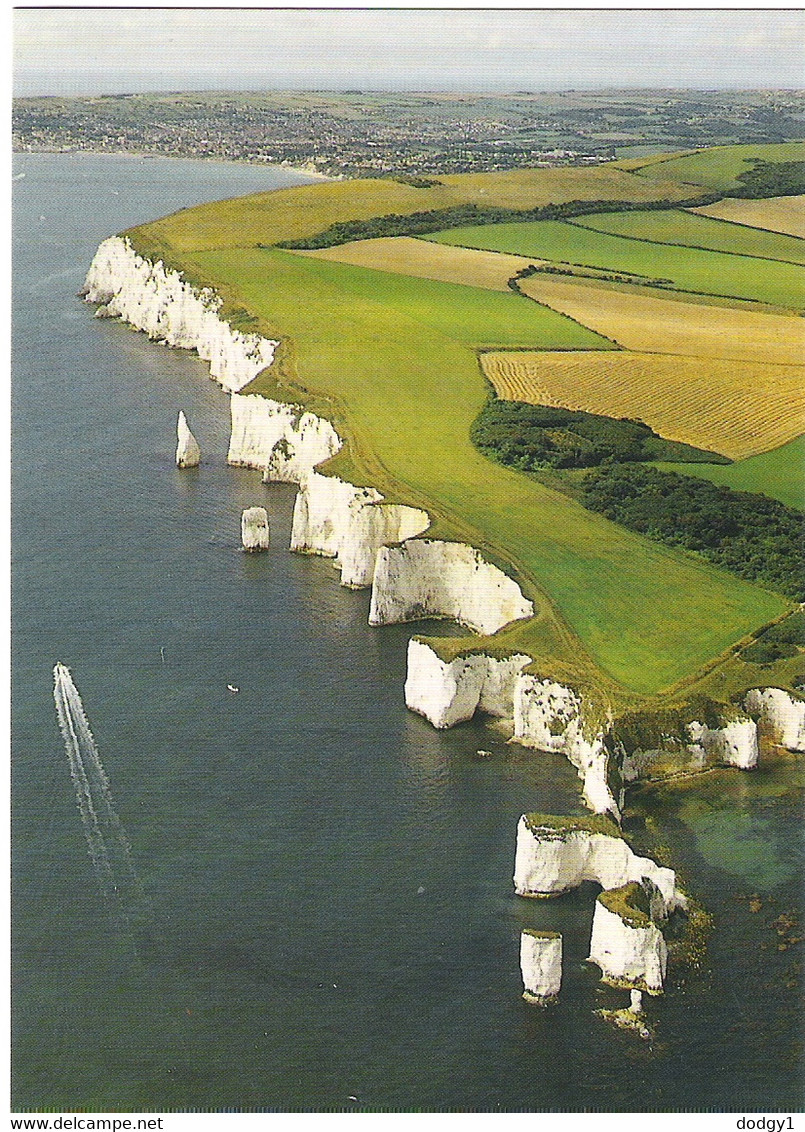 HANDFAST POINT, STUDLAND, DORSET. UNUSED POSTCARD Tc7 - Swanage