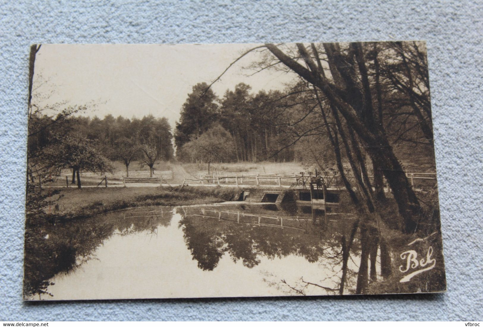 Cpsm 1952, Lamotte Beuvron, Paysage De Sologne, Loir Et Cher 41 - Lamotte Beuvron