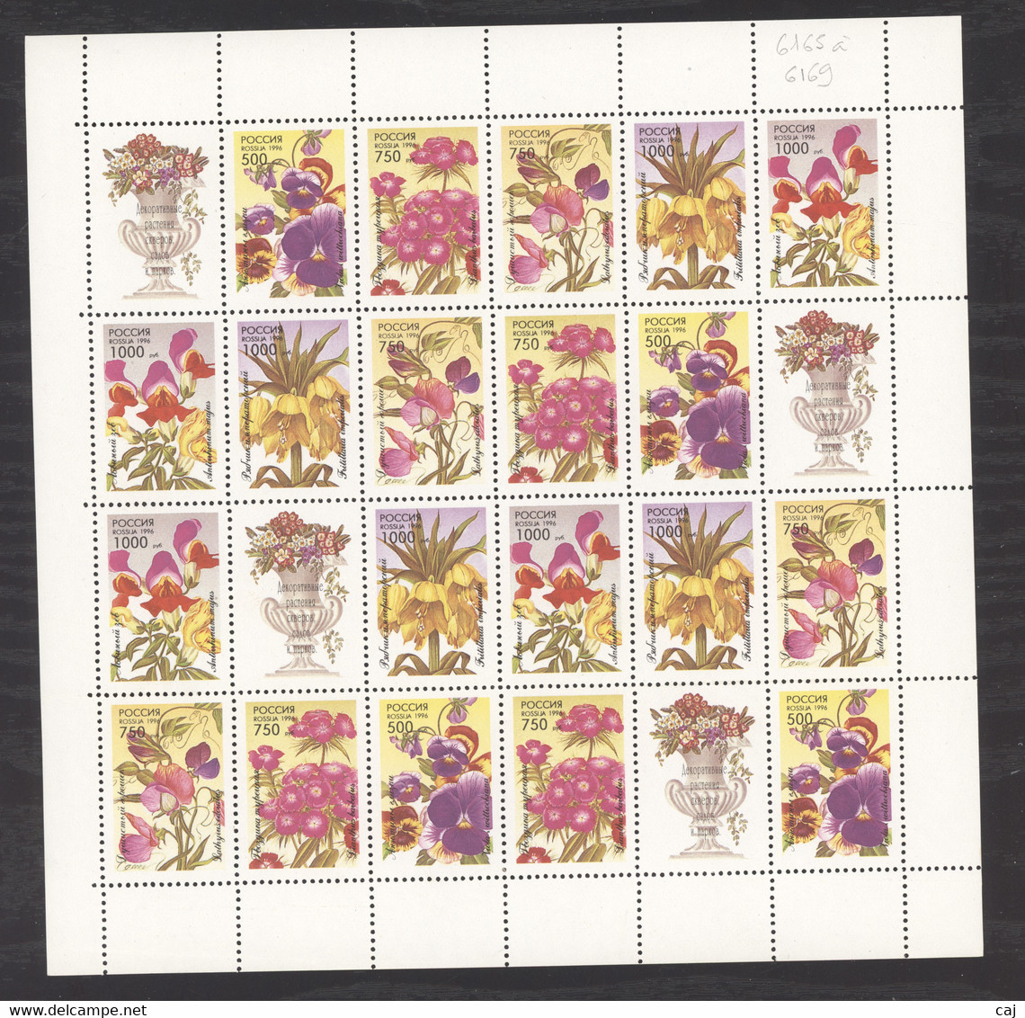 Russie  -  Petites Feuilles :  Mi  480-84 Yv  6165-69  ** - Hojas Completas