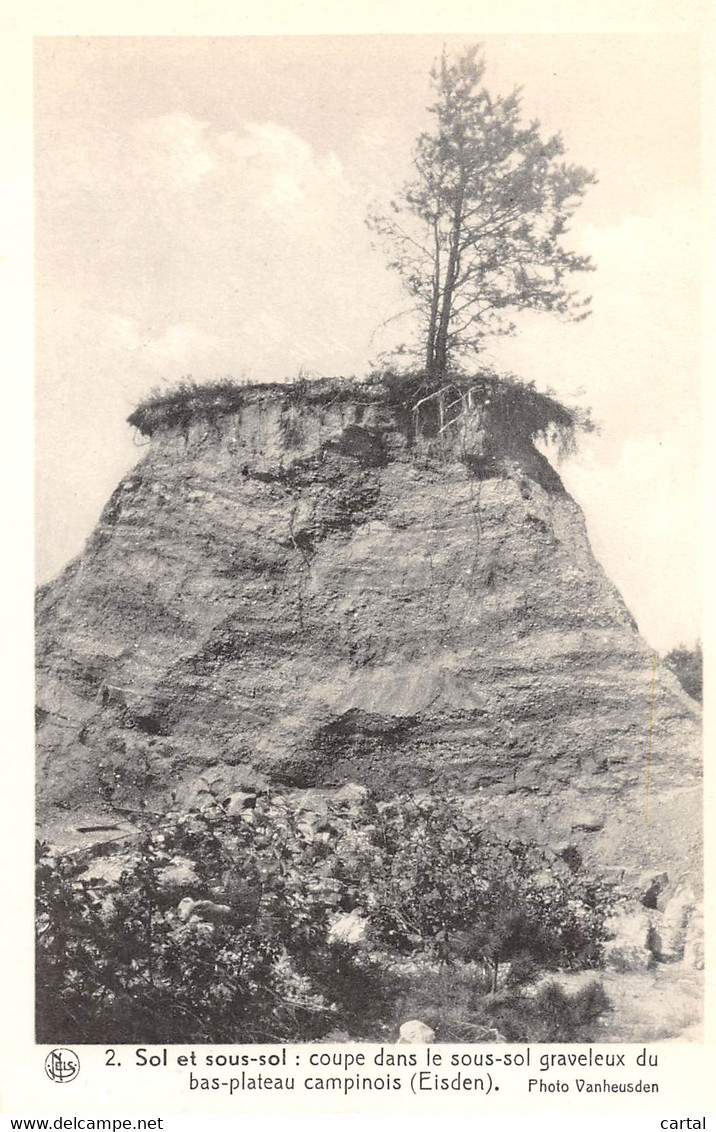 EISDEN - Sol Et Sous-sol : Coupe Dans Le Sous-sol Graveleux Du Bas-plateau Campinois. - Maasmechelen