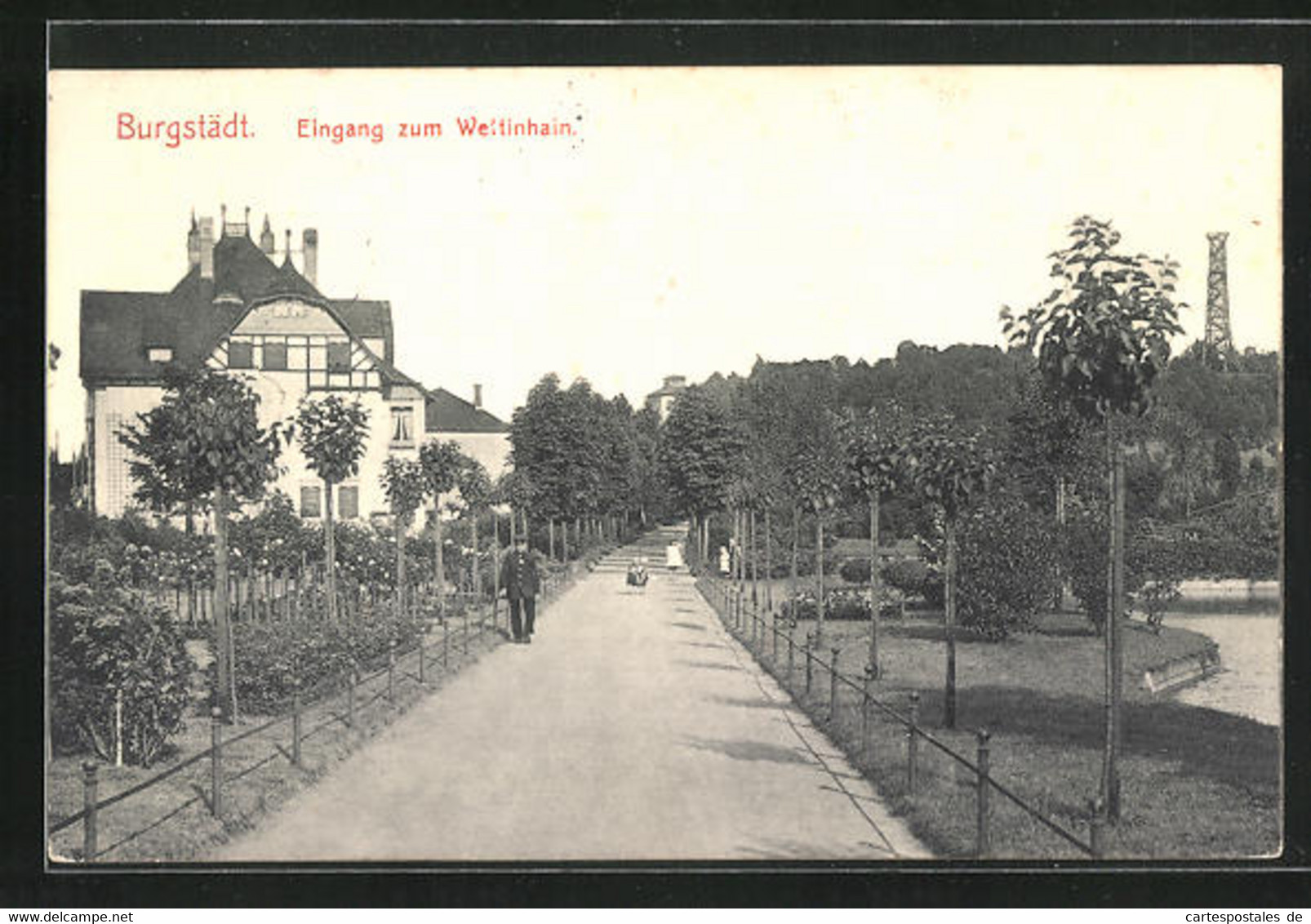 AK Burgstädt, Strasse Am Wettinhain - Burgstaedt