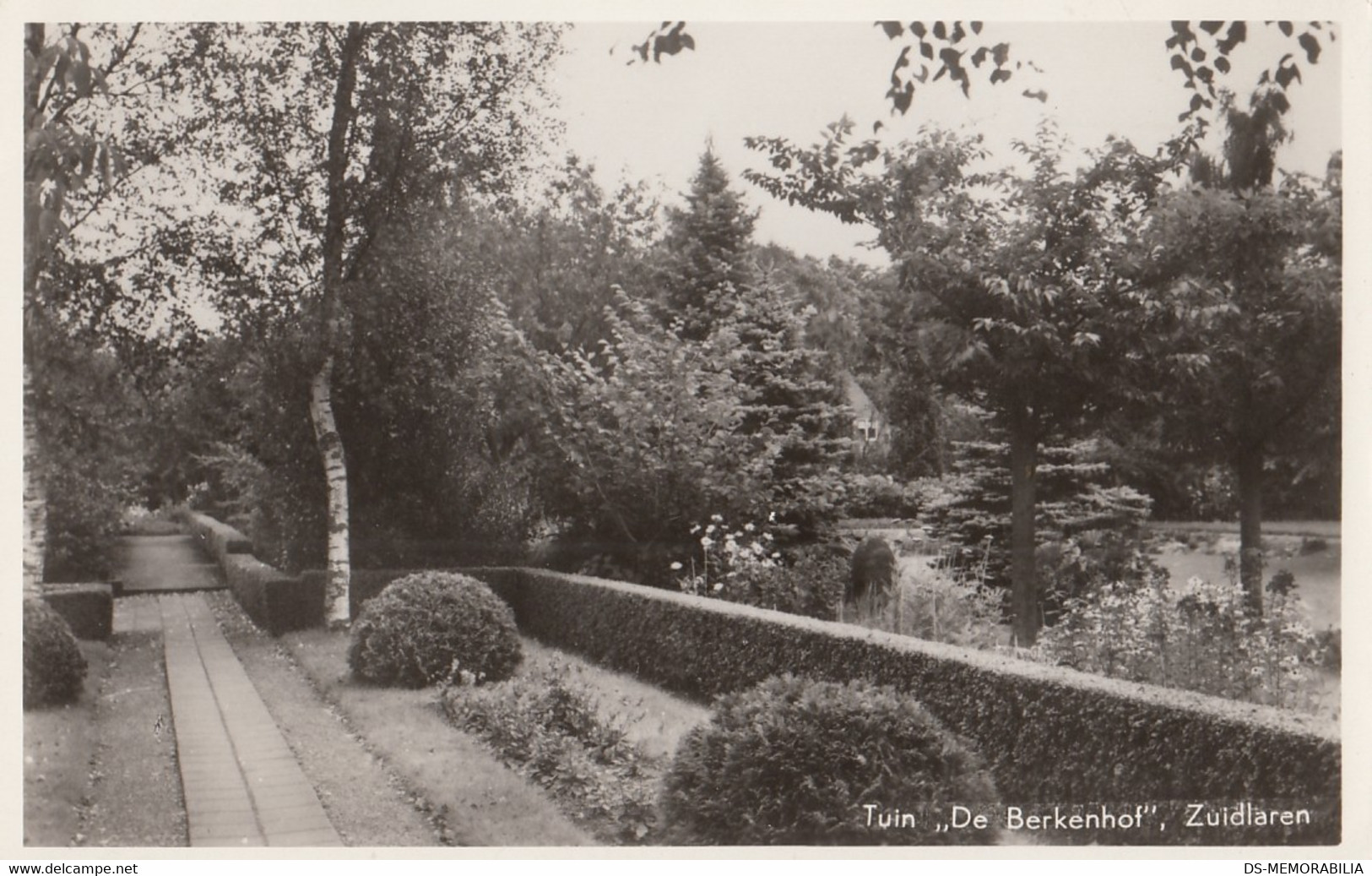 Zuidlaren - Tuin De Berkenhof - Zuidlaren