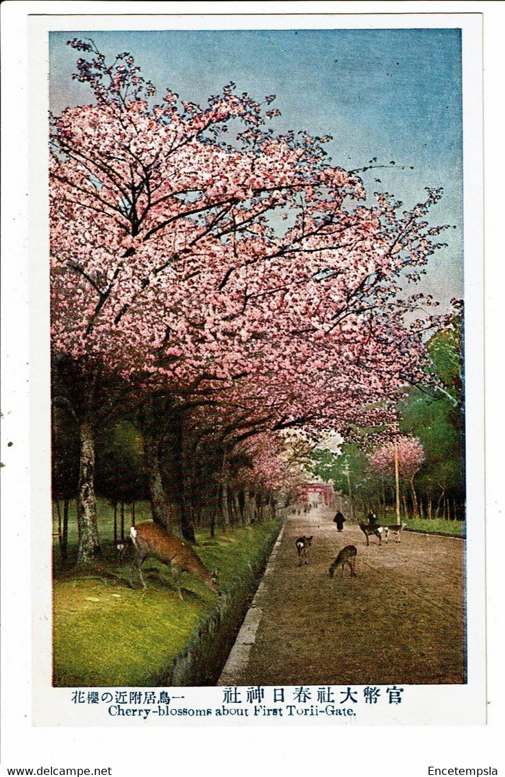 CPA-Carte Postale -Japon -Cherry Blossoms About First Torii Gate VM31869 - Nagoya