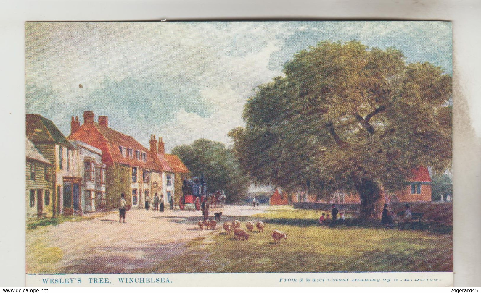 CPA RYE (Angleterre-Sussex) - WINCHELSEA : Wesley's Tree - Rye