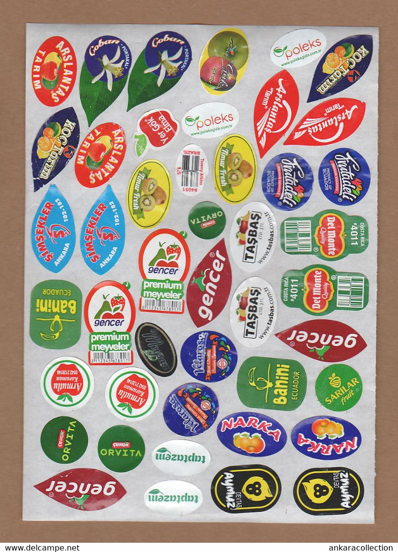 AC - FRUIT LABELS Fruit Label - STICKERS LOT #61 - Frutas Y Legumbres