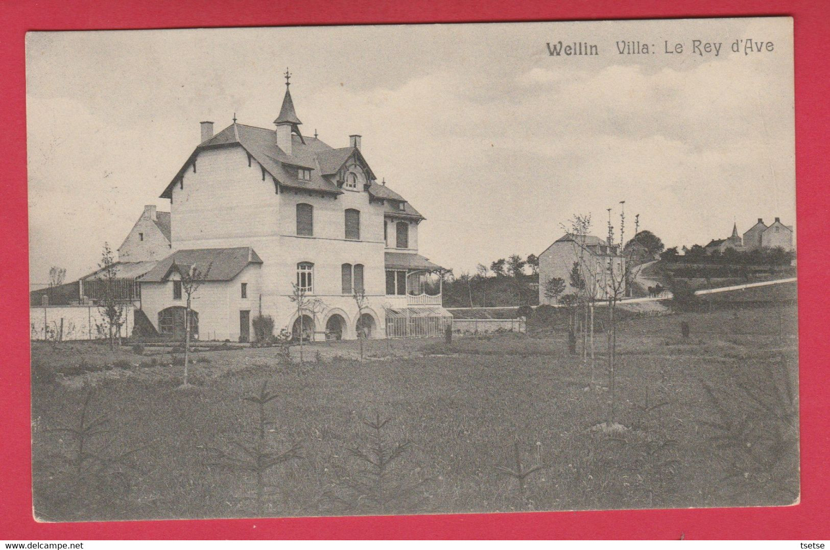 Wellin - Villa Le Rey D'Ave -1912 ( Voir Verso ) - Wellin