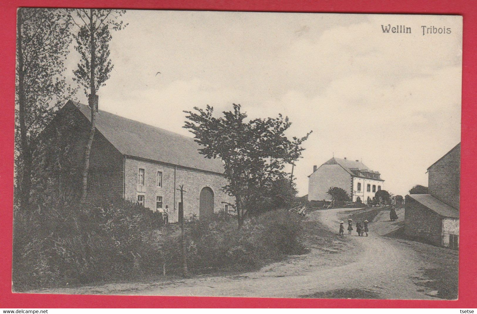 Wellin - Quartier ... Du Tribois - 1913 ( Voir Verso ) - Wellin