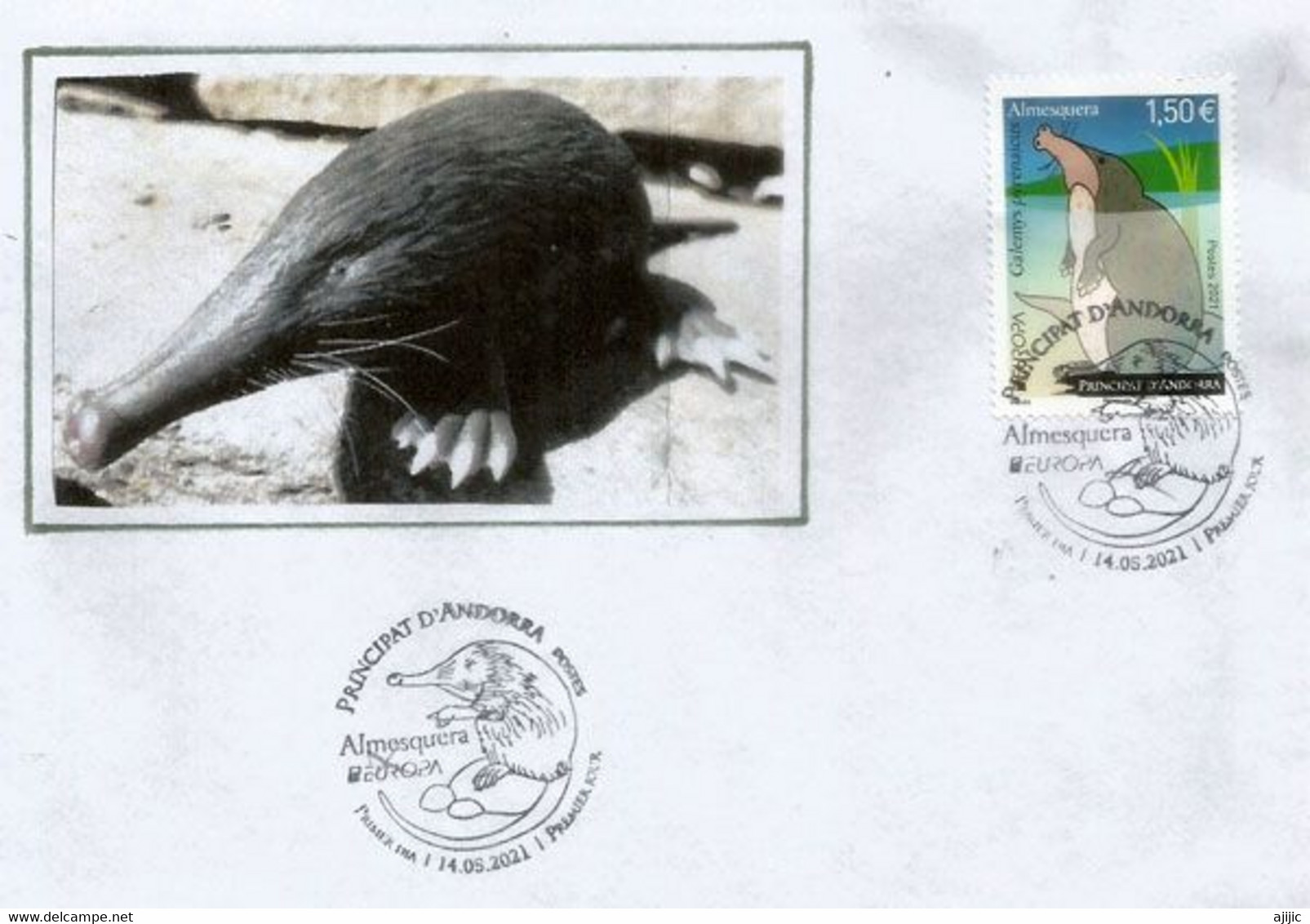 ANDORRA.2021.Desman Des Pyrénées (Rat-trompette.Taupe Des Pyrénées).Europa Andorra FR. FDC. (Espèce Animale Vulnérable) - Storia Postale