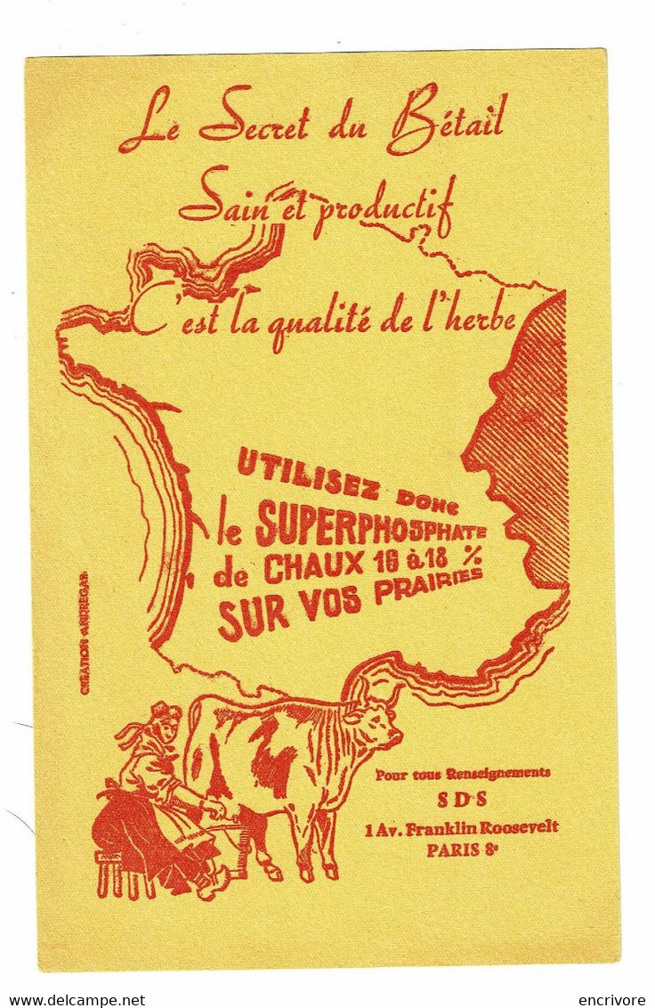 Buvard SUPERPHOSPHATE DE CHAUX  Secret Du Bétail Sain Et Productif Vache Traite - Agricoltura