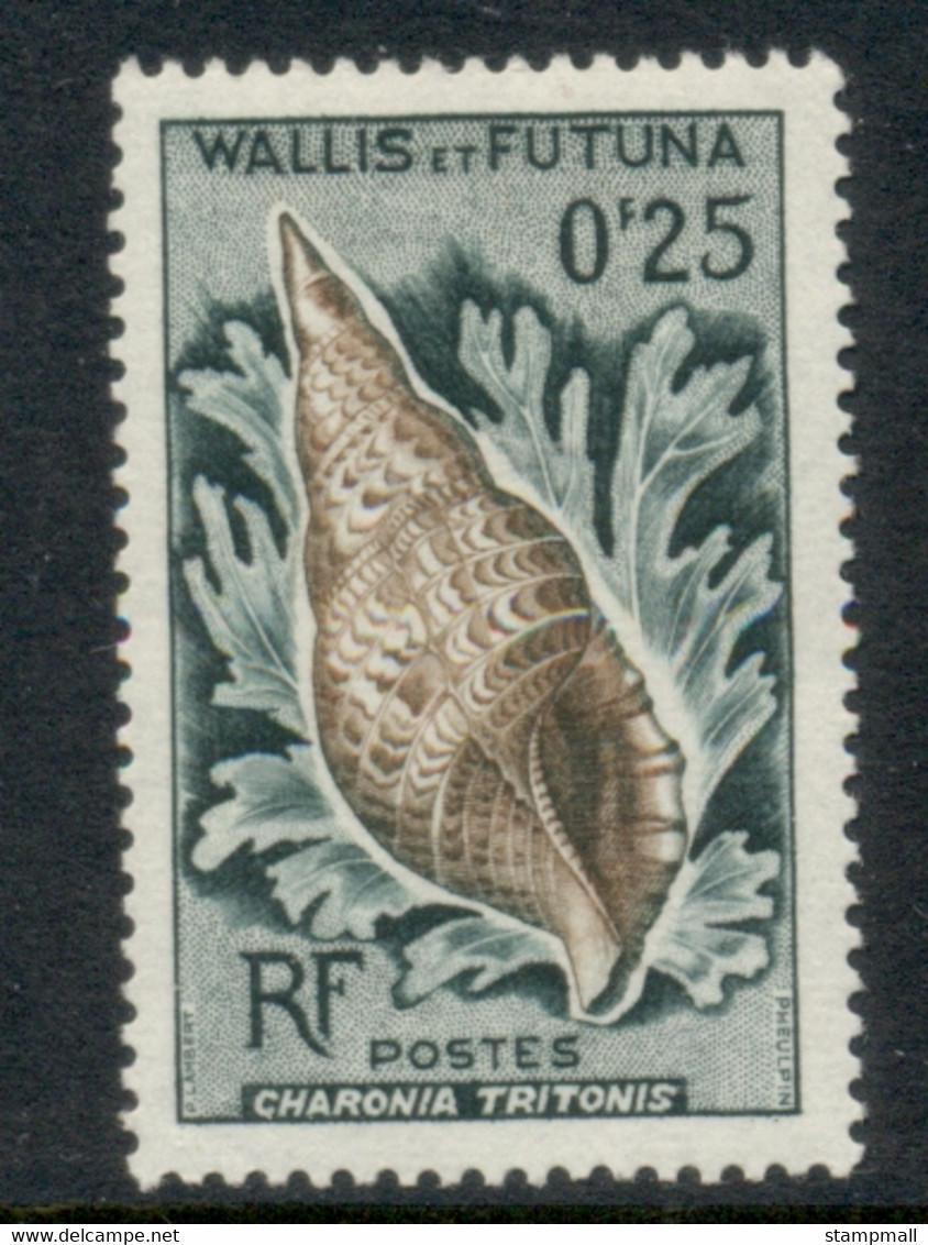 Wallis & Futuna 1962-63 Seashells 25c FU - Gebraucht