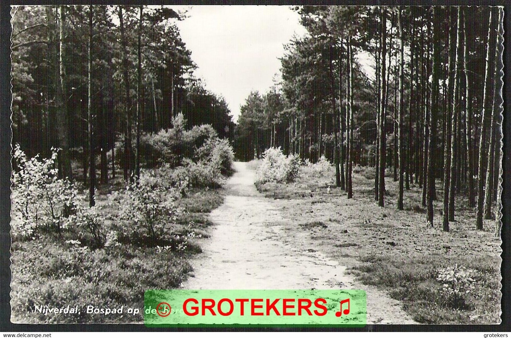 NIJVERDAL Bospad Op De Berg  1957 - Nijverdal