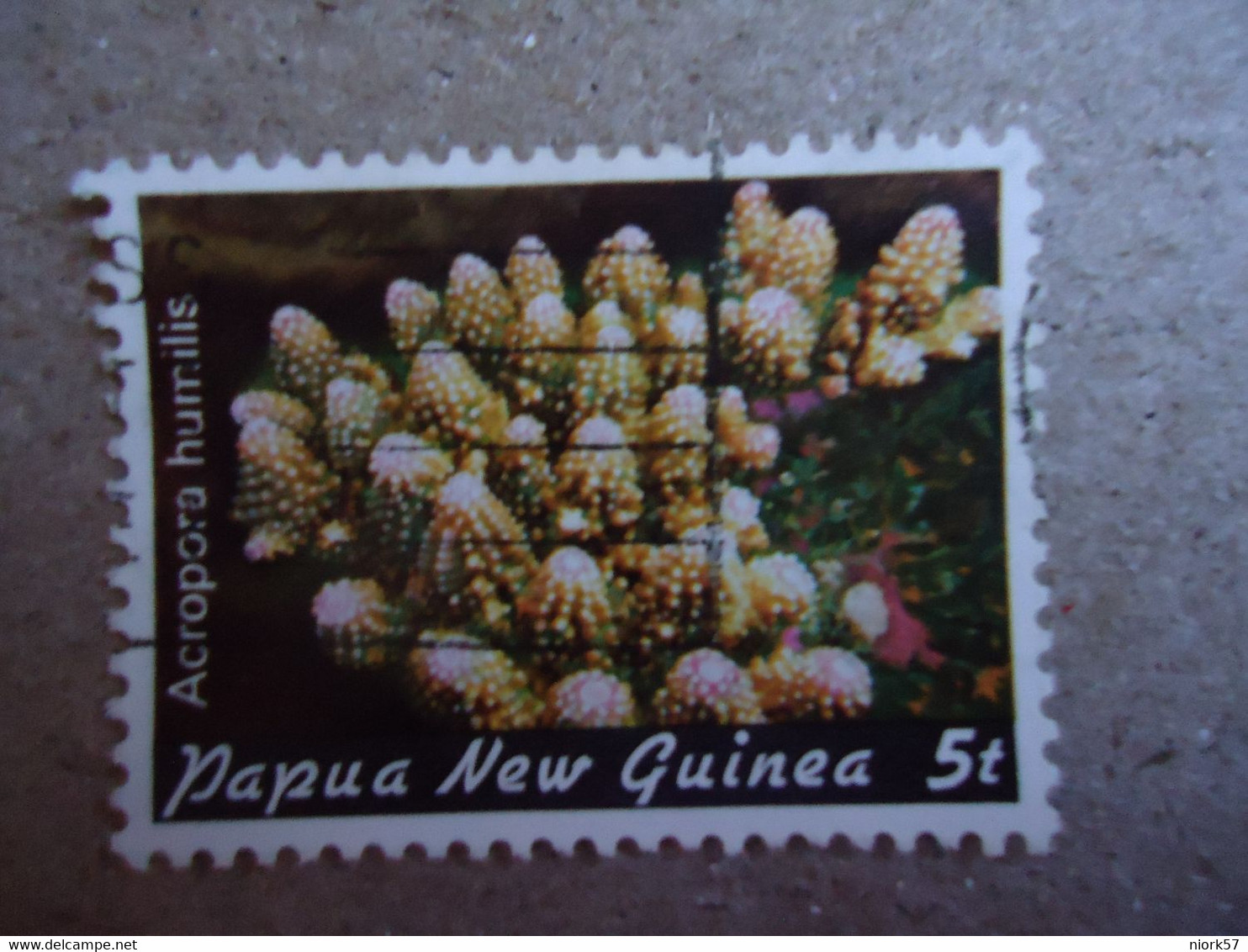 PAPUA NEW GUINEA  USED    STAMPS  MARINE LIFE - Rapa Nui (Easter Islands)