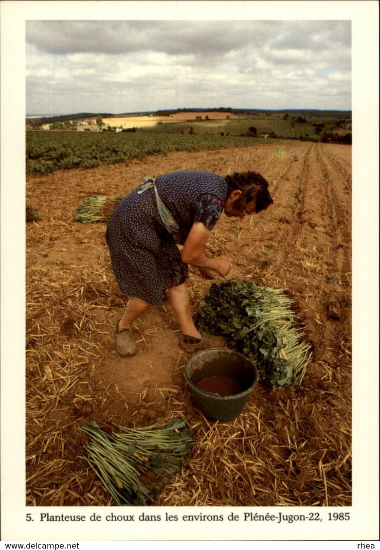 22 - PLENEE-JUGON - Planteuse De Choux En 1985 - Photo De Thersiquel - Plénée-Jugon