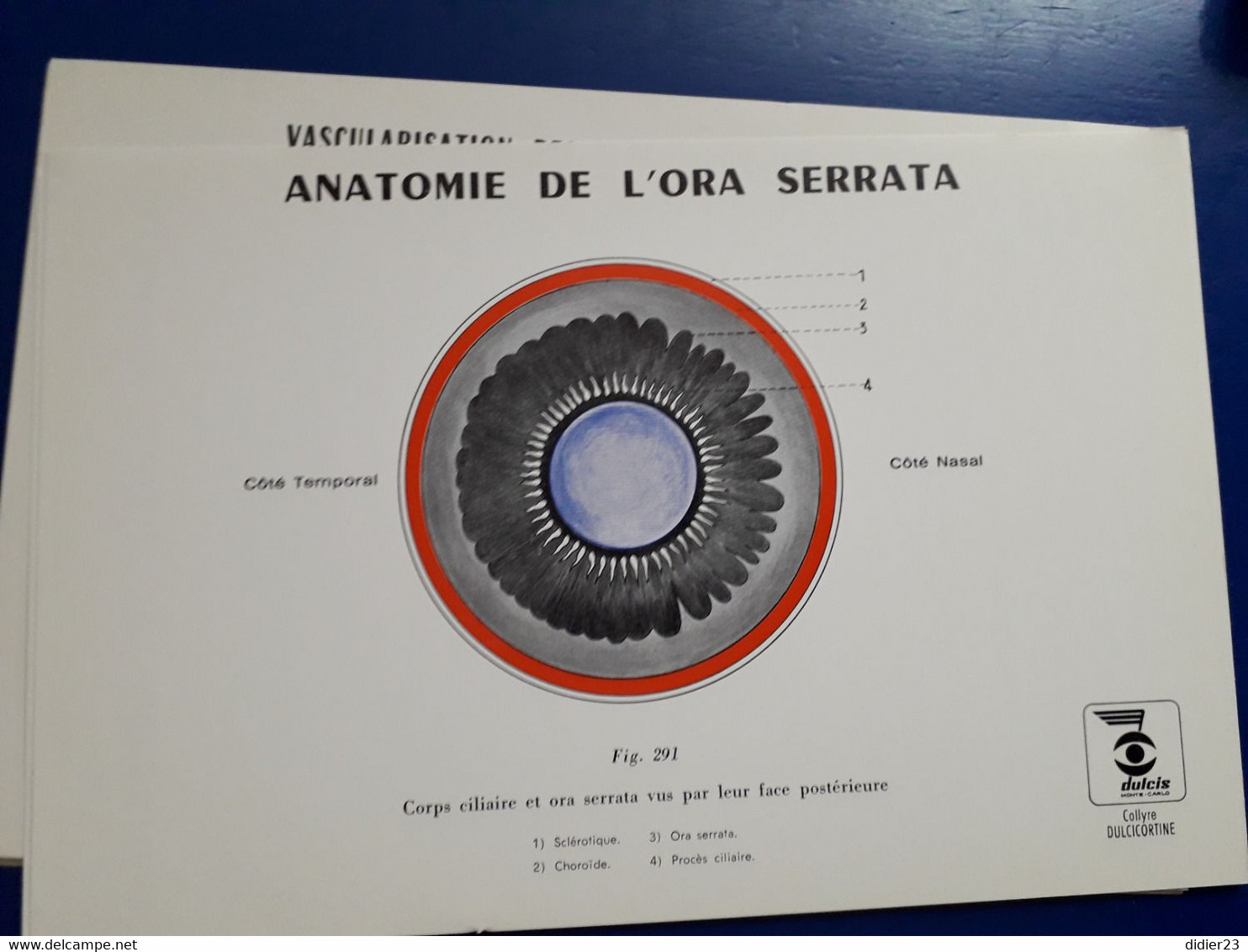 LABORATOIRE OPTHAMOLOGIE DULCIS MONTE CARLOS  SHEMA DE L'OEIL