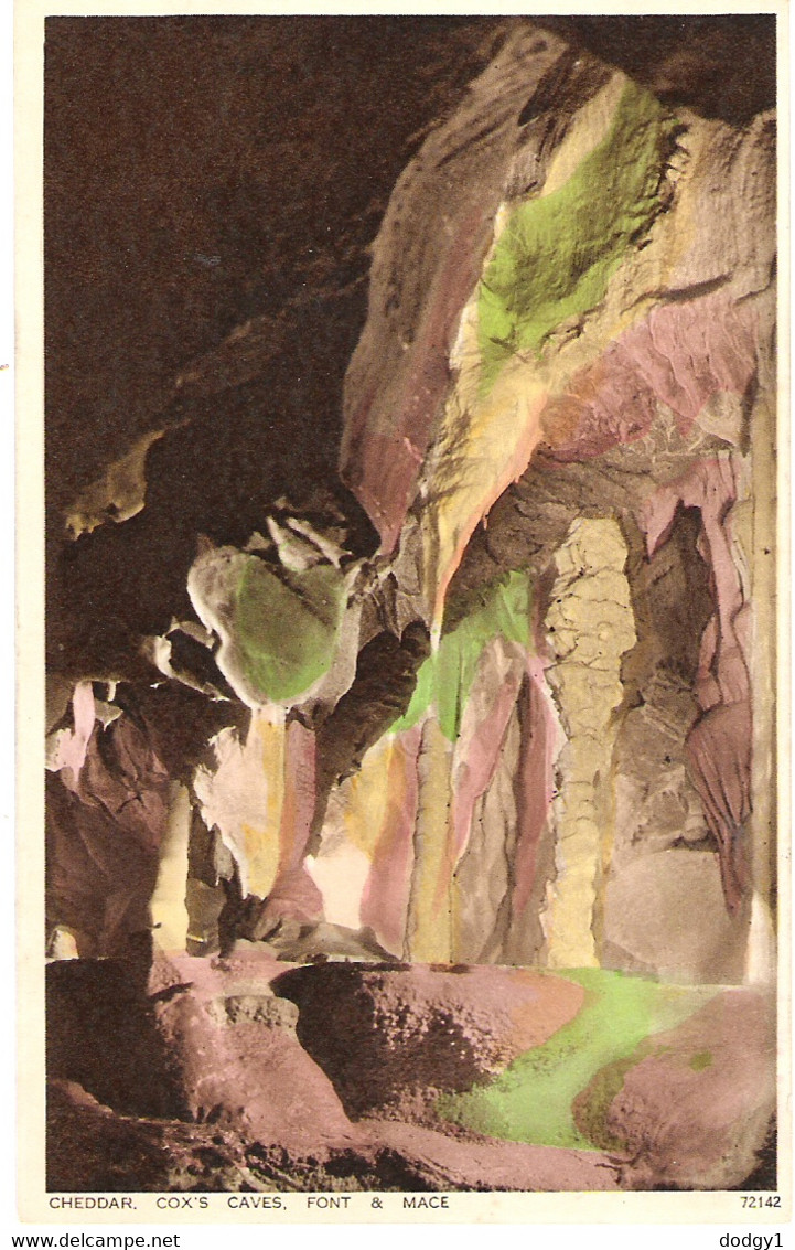 COX'S CAVE, CHEDDAR, SOMERSET, ENGLAND. UNUSED POSTCARD Jo2 - Cheddar