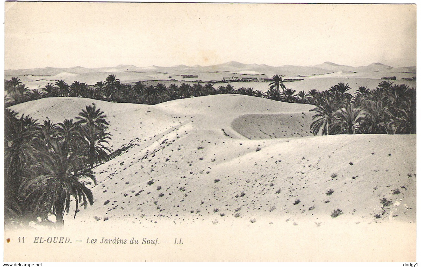 LES JARDINS DU SOUF, EL OUED, ALGERIA. UNUSED POSTCARD Jo2 - El-Oued