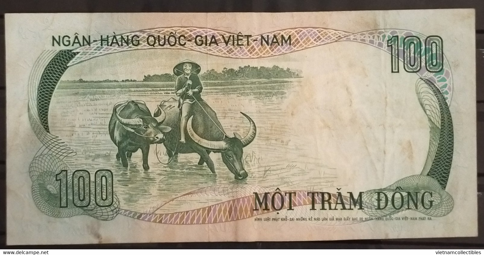 South Viet Nam Vietnam 100 Dông VF Buffalo Banknote Note 1972 - Pick # 31 / 02 Photos - Vietnam