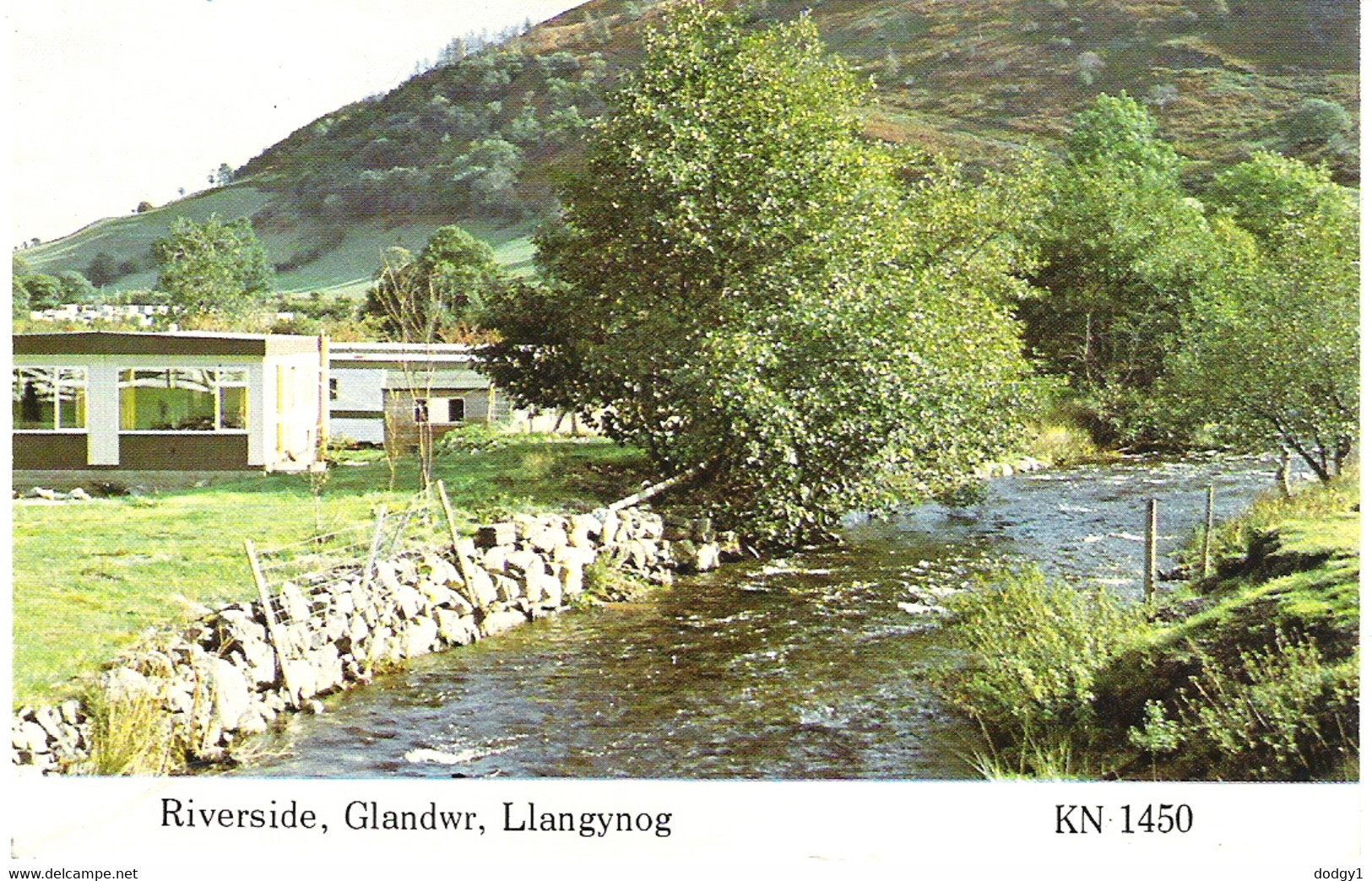 RIVERSIDE, GLANDWR, LLANGYNOG, WALES. UNUSED POSTCARD Jo5 - Carmarthenshire