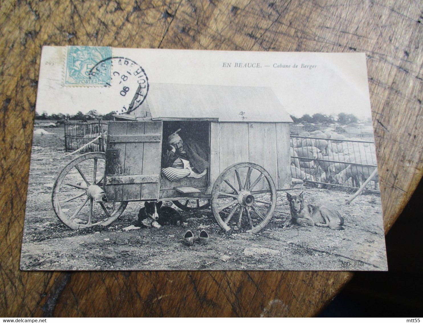 En Beauce Cabane De Berger  Troupeau Mouton  1906 - Other & Unclassified