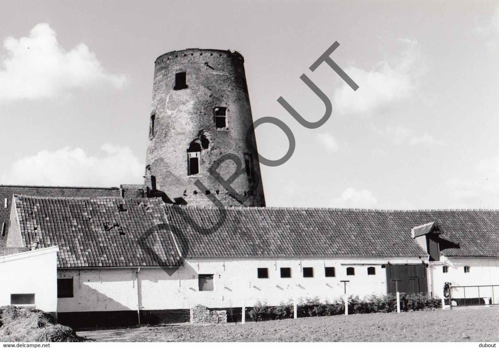 MOORSELE/Gullegem Molen / Moulin - Originele Foto Jaren '70 (Q26) - Wevelgem