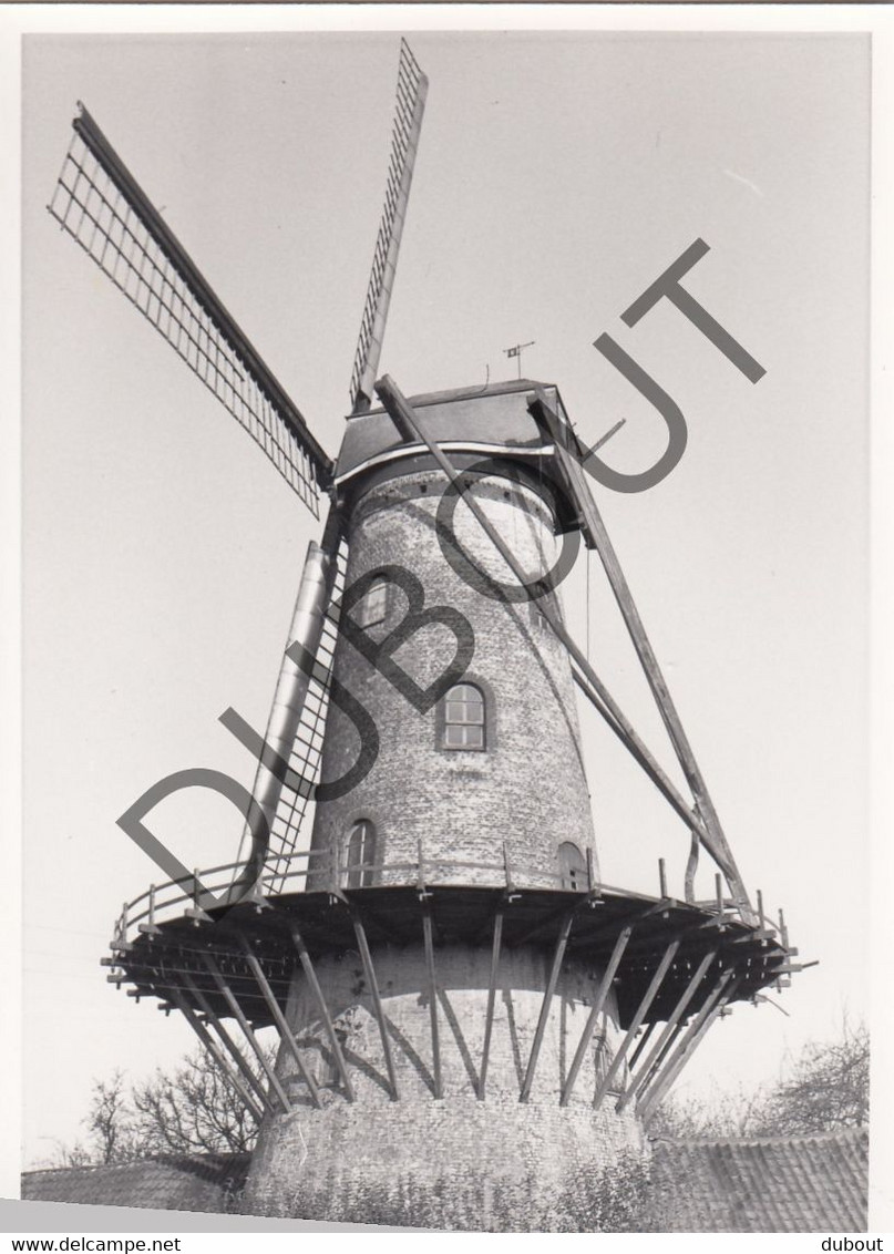 RUISELEDE Molen / Moulin - Originele Foto Jaren '70 (Q100) - Ruiselede