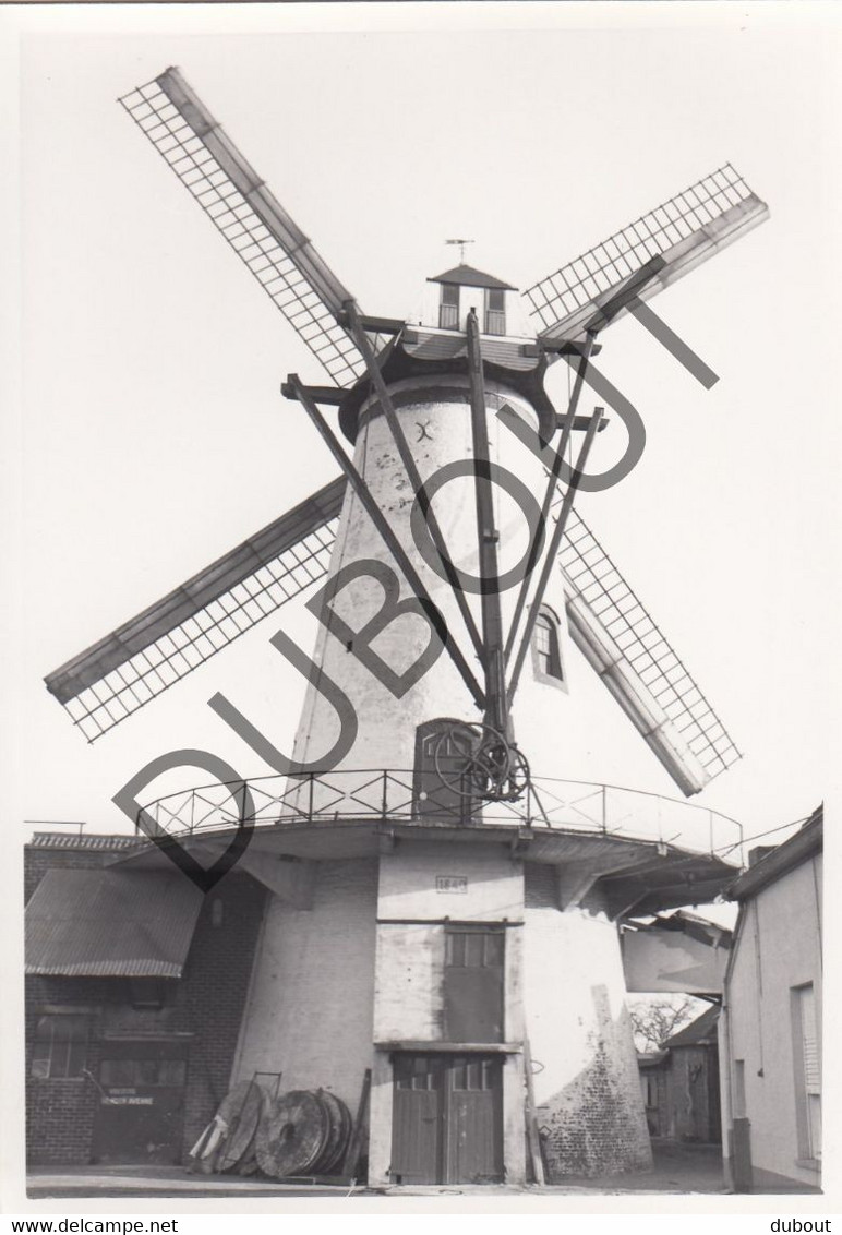 RUISELEDE Molen / Moulin - Originele Foto Jaren '70 (Q87) - Ruiselede