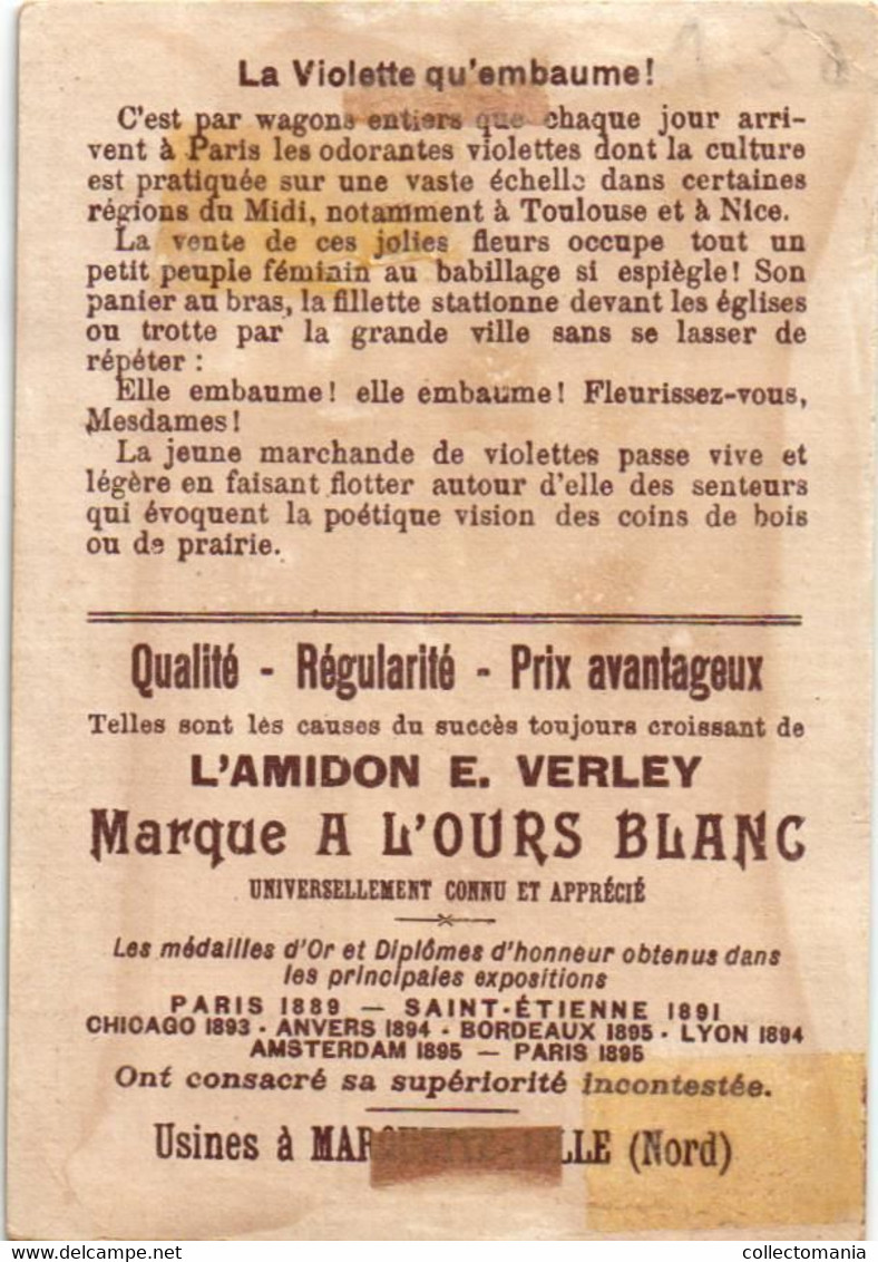 6 Cards  Amidon E. Verley Marque à L'Ours Blanc  Usines à Marquette - LILLE   Litho SIRVEN  No Post Cards