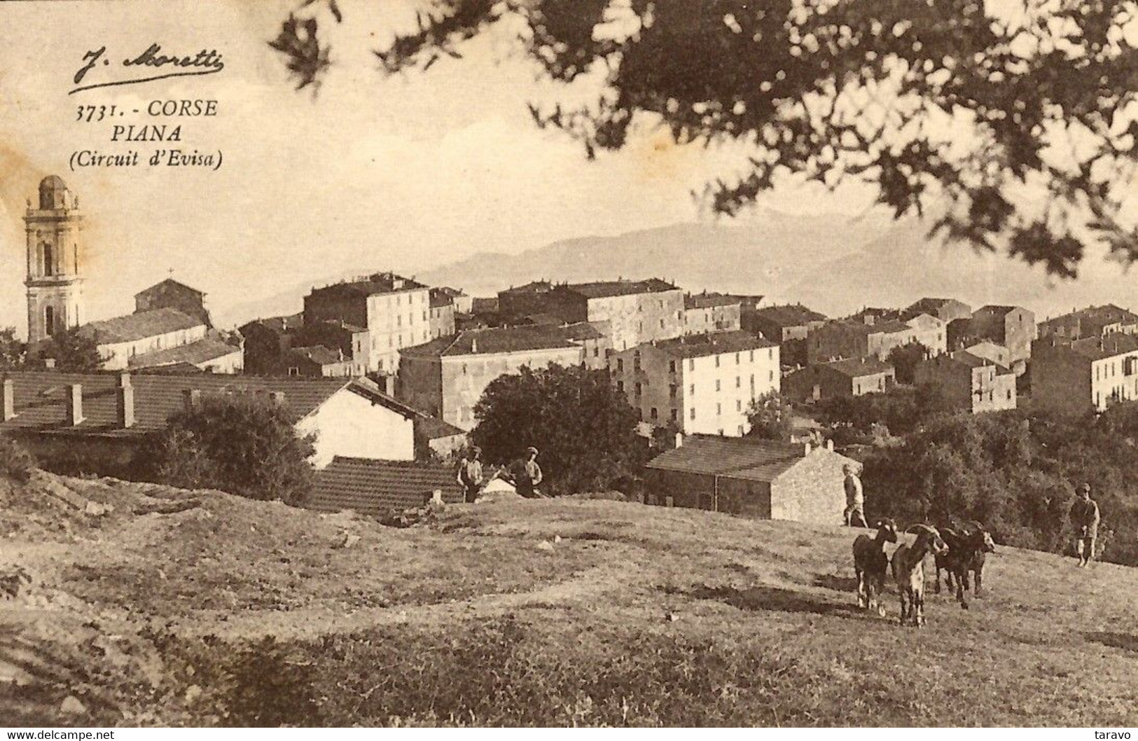 CORSE - Sur Les Hauteurs De PIANA, Jeunes Gardiens De Chèvres - Andere & Zonder Classificatie